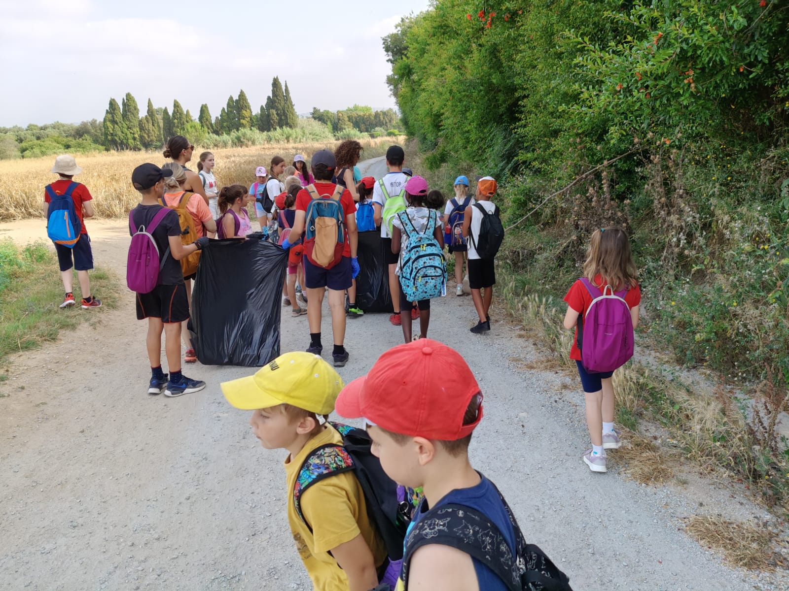 WhatsApp Image 2025-06-15 at 16.39.51 (1)