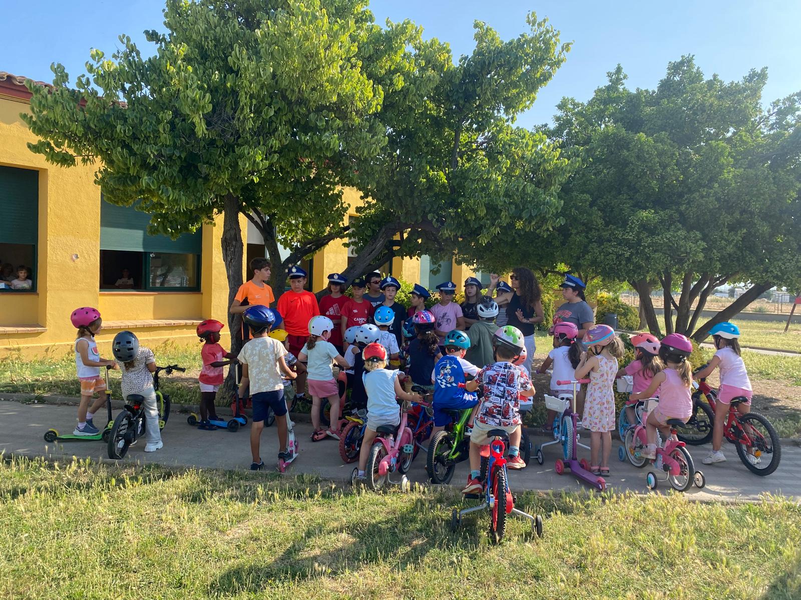 WhatsApp Image 2025-06-18 at 12.34.26