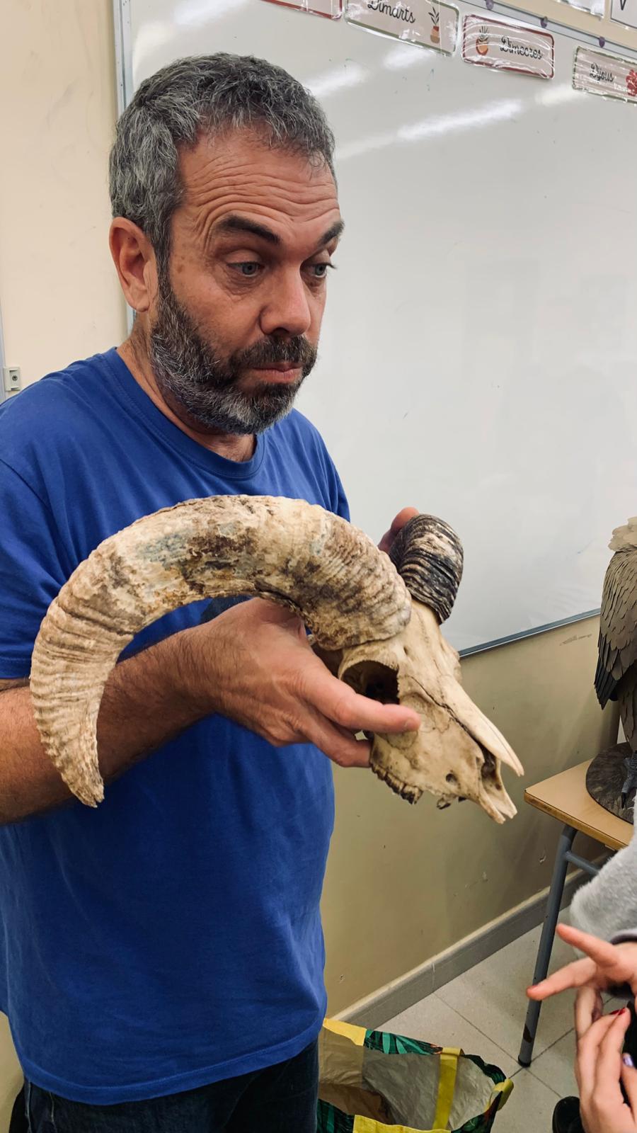 WhatsApp Image 2025-10-30 at 14.54.05 (5)