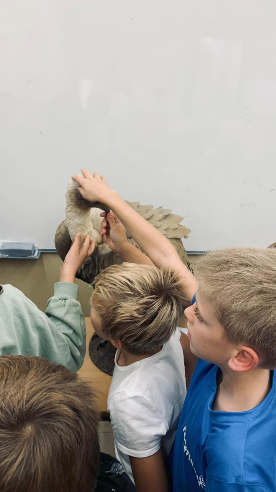 WhatsApp Image 2025-10-30 at 14.54.05 (6)