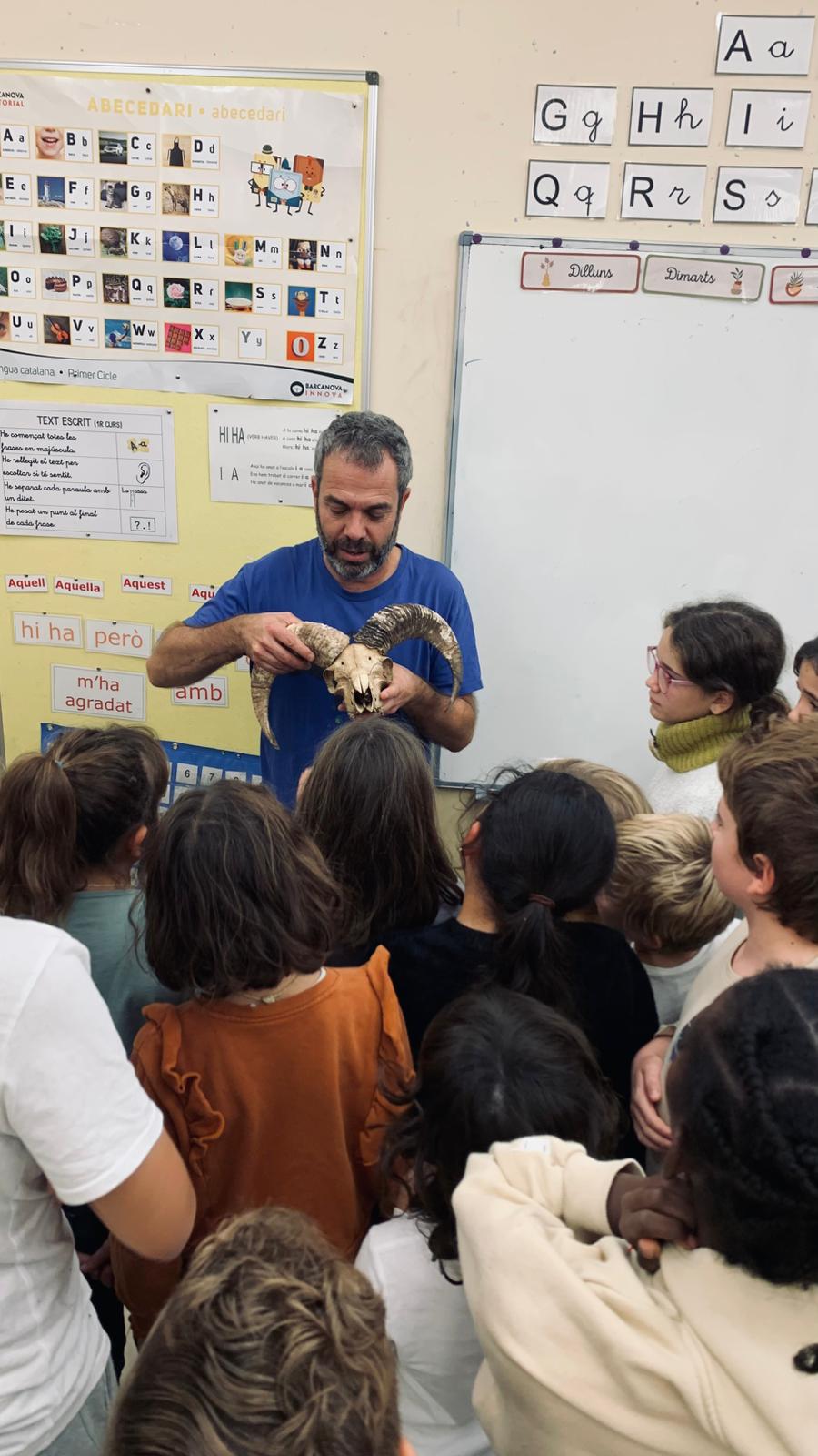 WhatsApp Image 2025-10-30 at 14.54.05