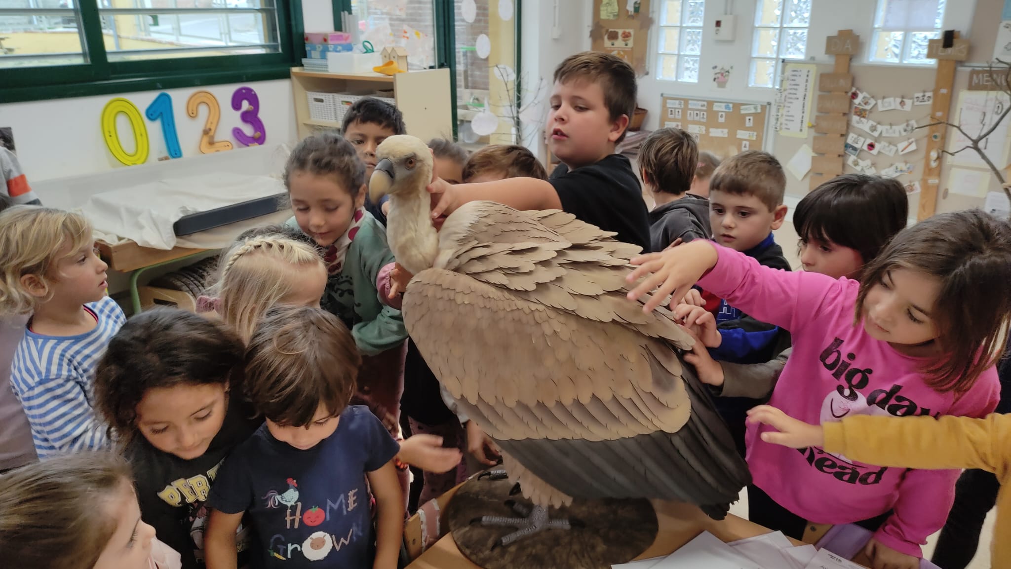 WhatsApp Image 2025-10-30 at 17.44.46 (1)