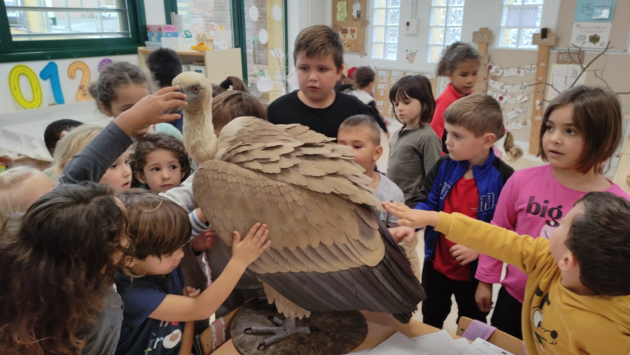 WhatsApp Image 2025-10-30 at 17.44.46