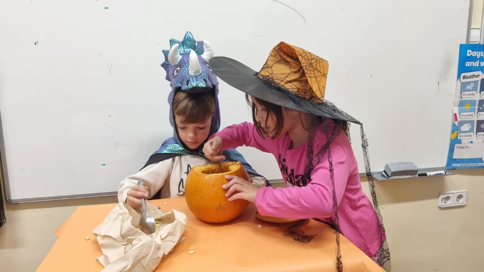 WhatsApp Image 2025-11-10 at 13.11.17