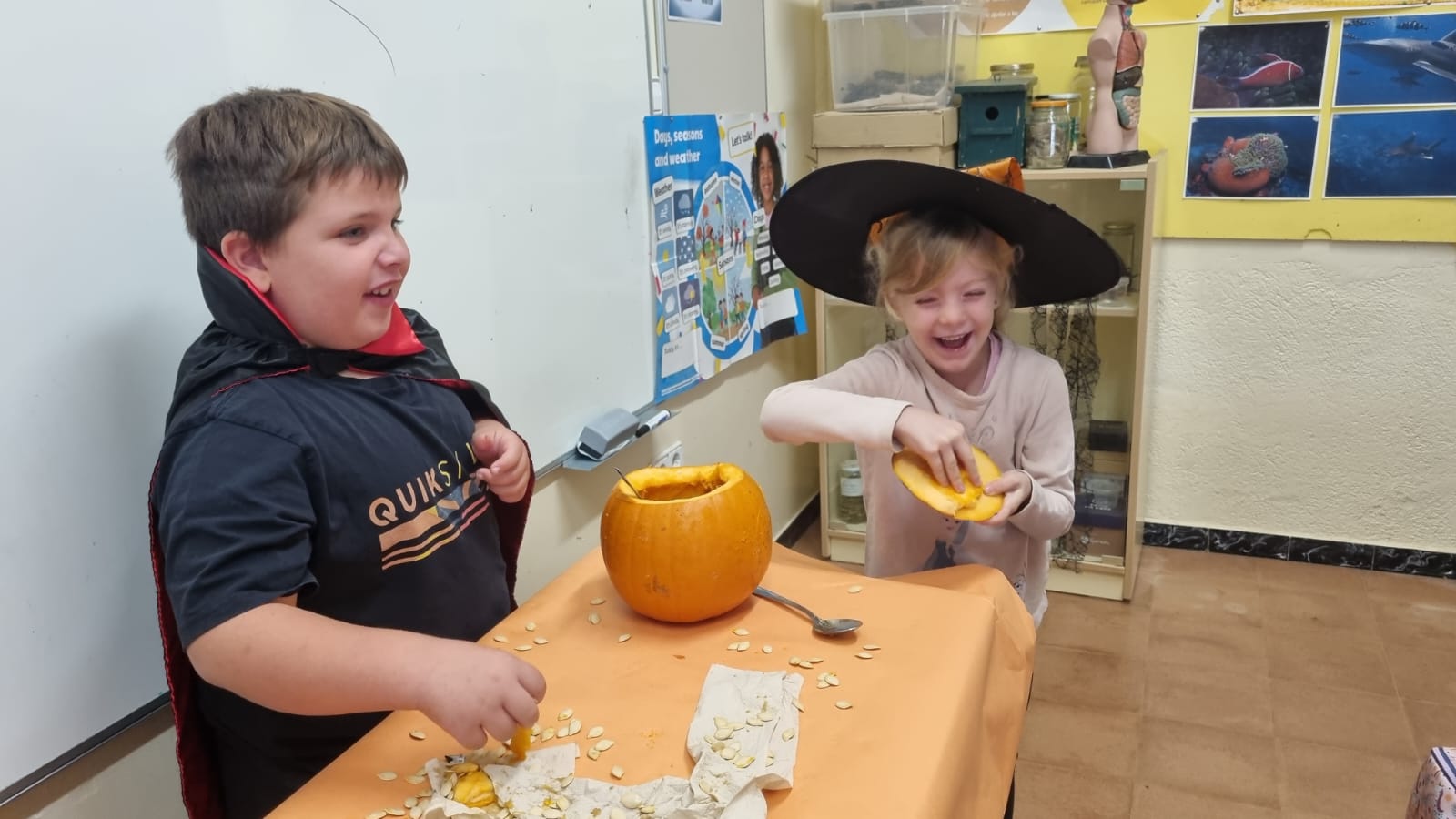 WhatsApp Image 2025-11-10 at 13.11.19 (1)