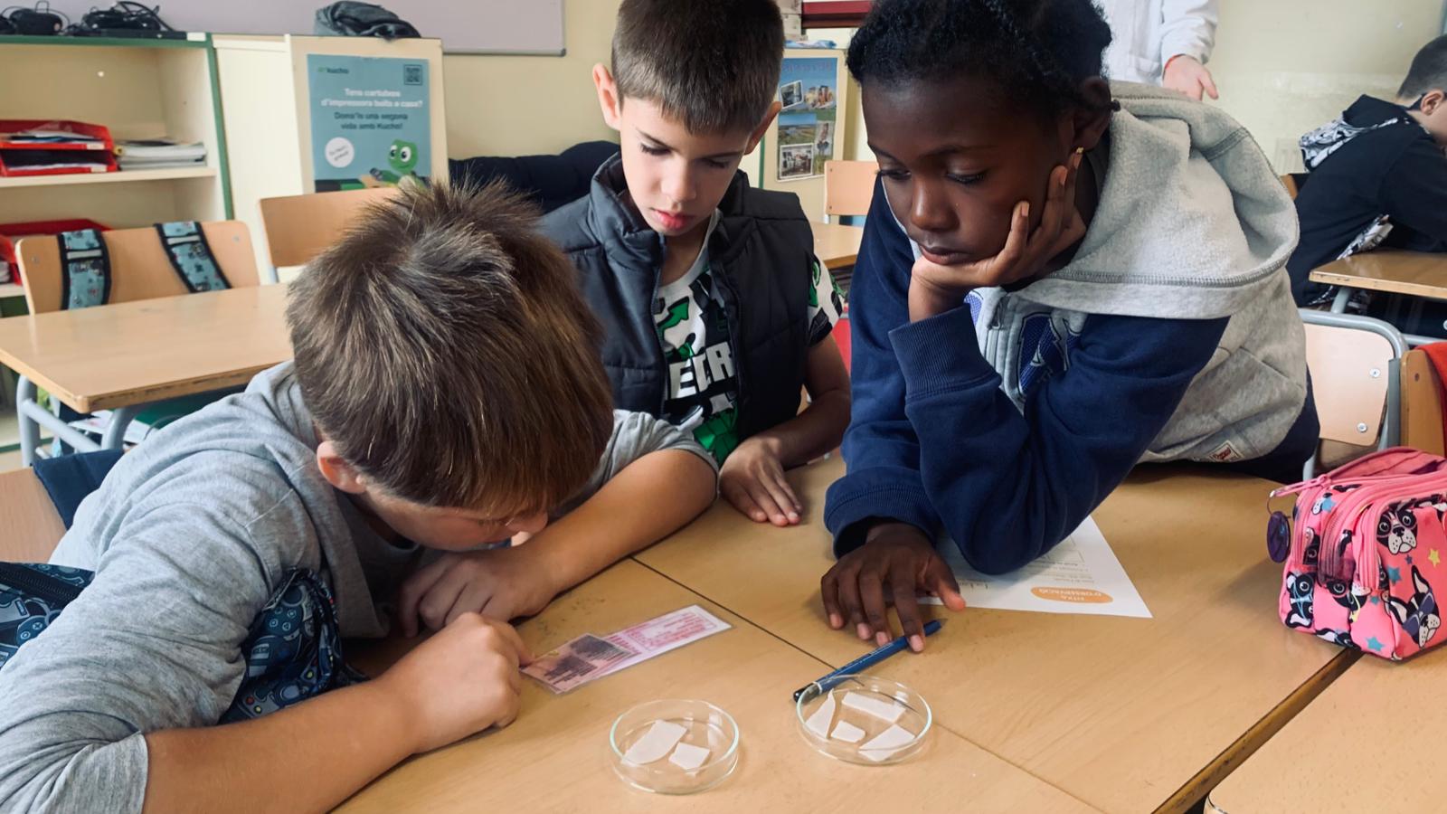 WhatsApp Image 2025-11-10 at 14.25.54 (3)