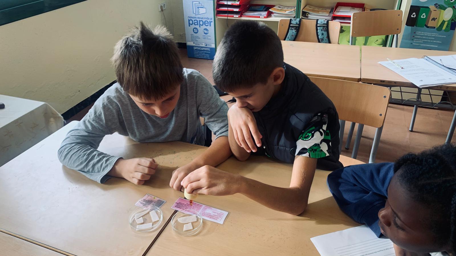 WhatsApp Image 2025-11-10 at 14.25.55 (1)