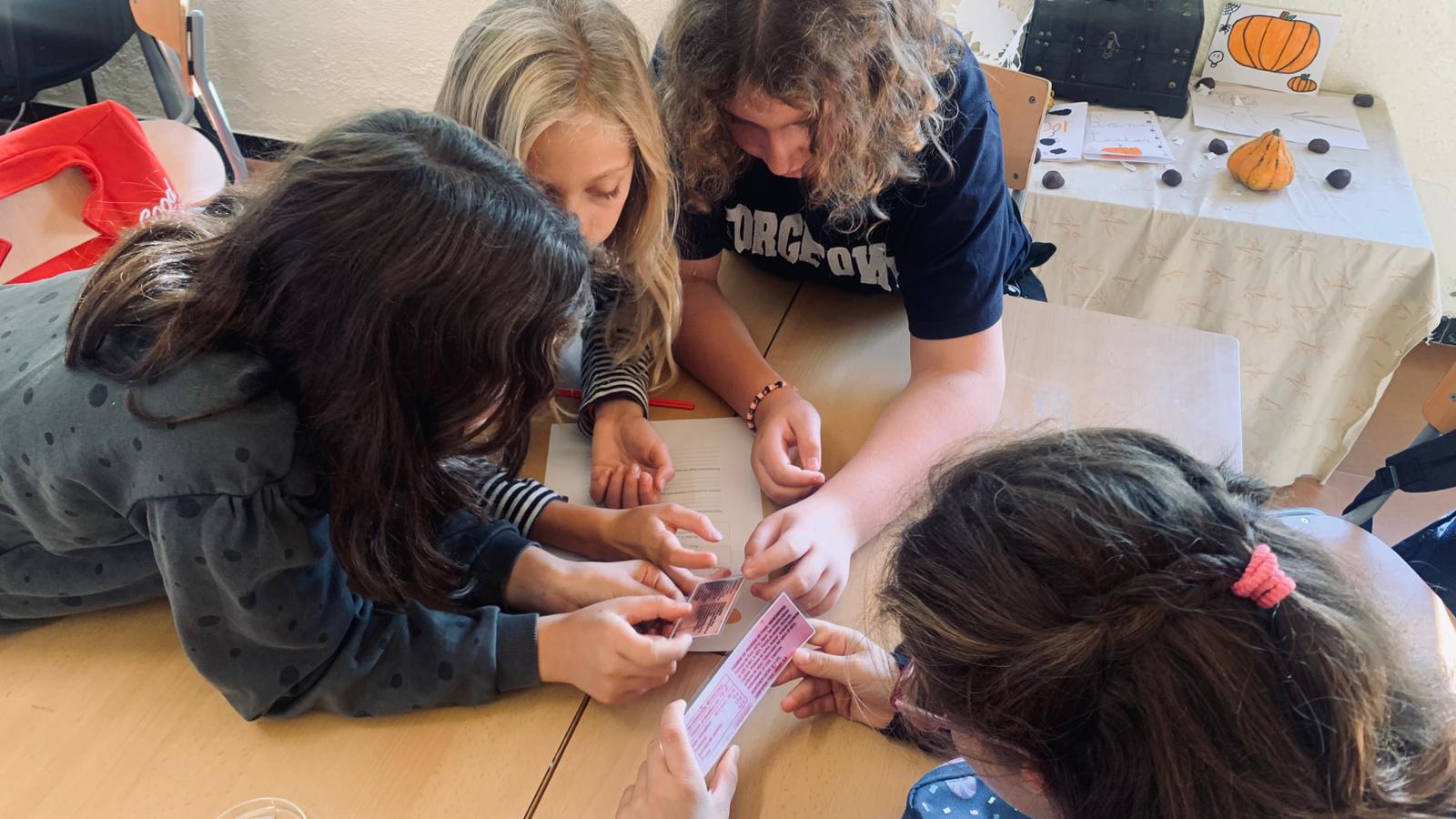 WhatsApp Image 2025-11-10 at 14.25.55 (2)