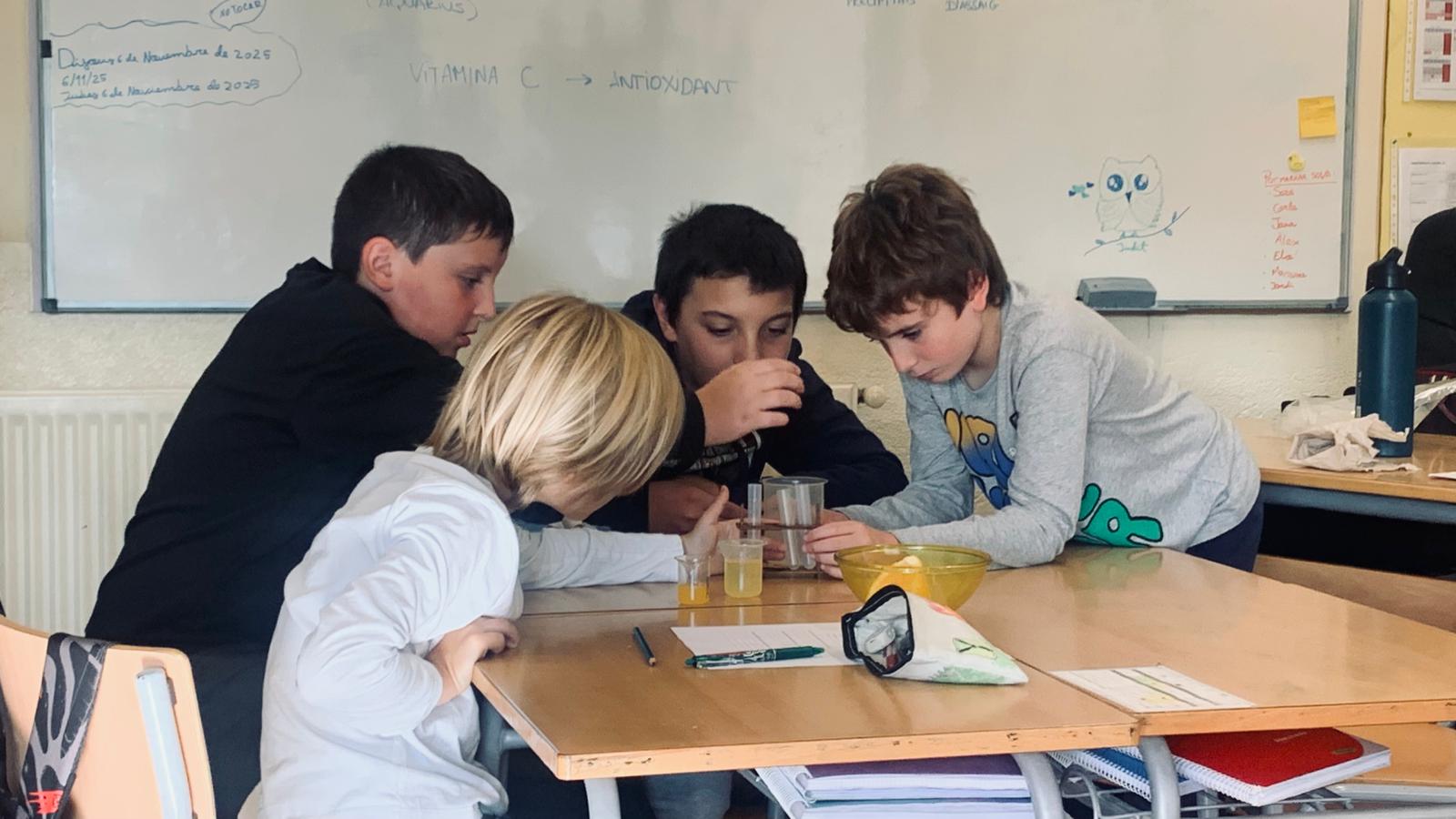 WhatsApp Image 2025-11-10 at 14.25.55 (3)