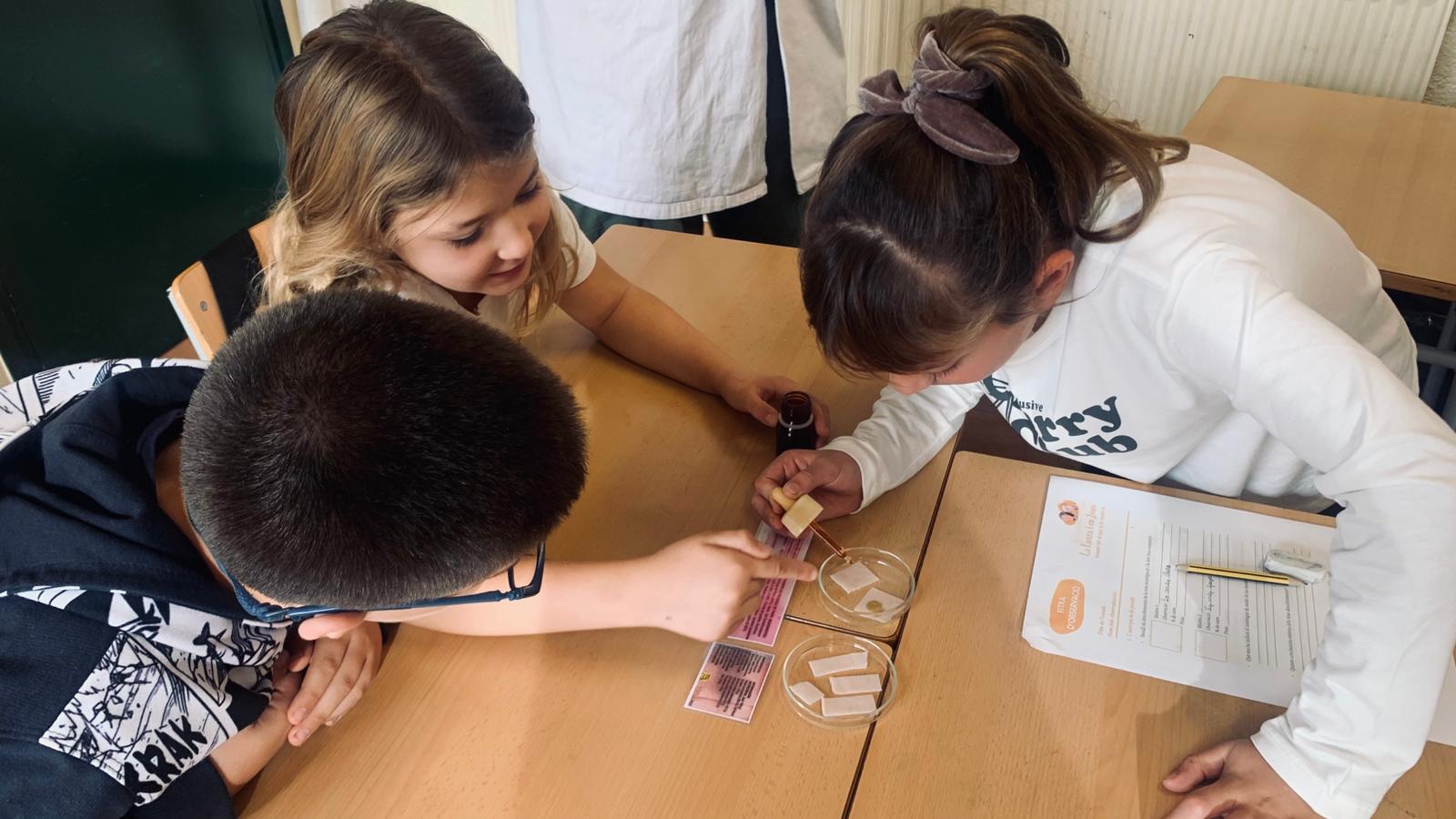 WhatsApp Image 2025-11-10 at 14.25.55