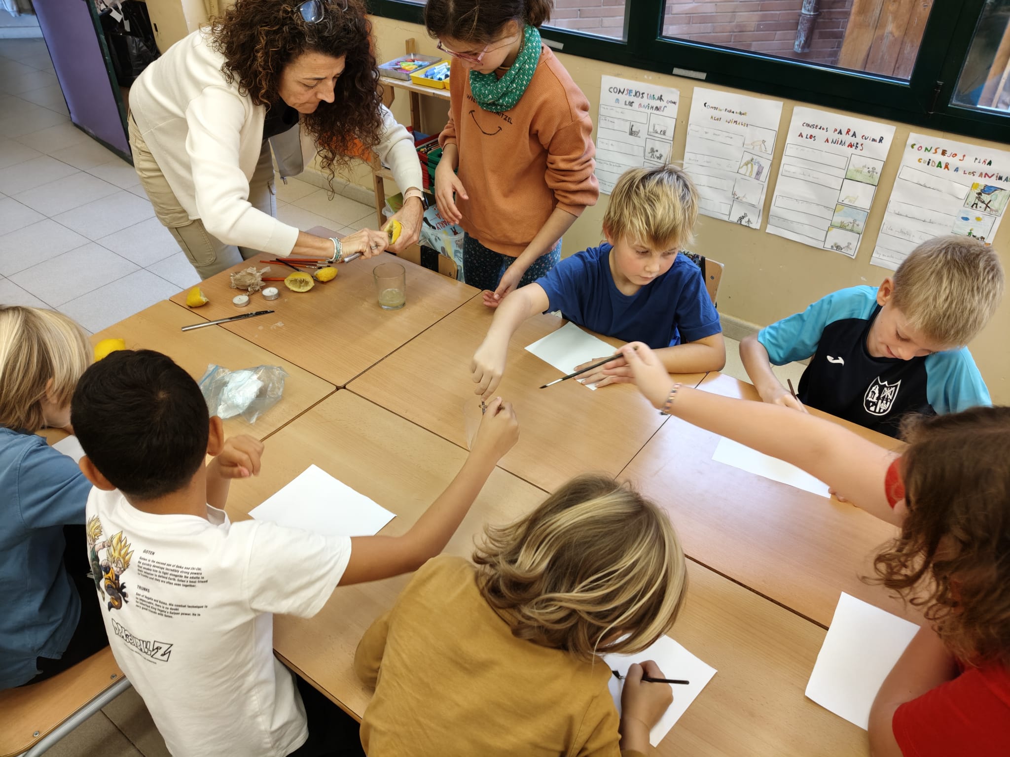 WhatsApp Image 2025-11-10 at 22.55.33 (1)