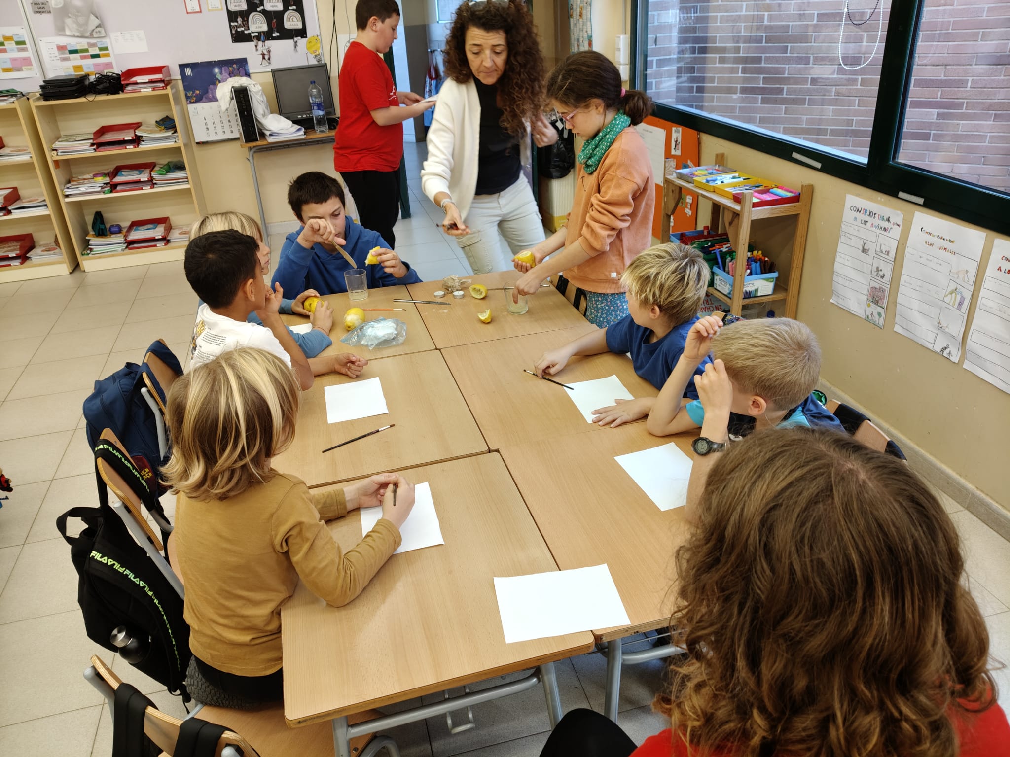 WhatsApp Image 2025-11-10 at 22.55.33 (2)