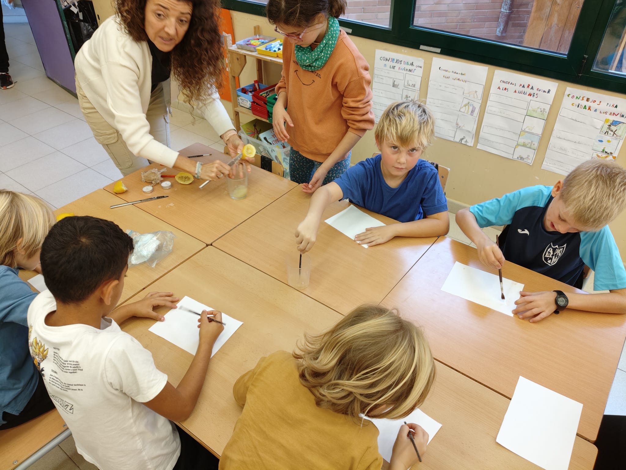 WhatsApp Image 2025-11-10 at 22.55.33