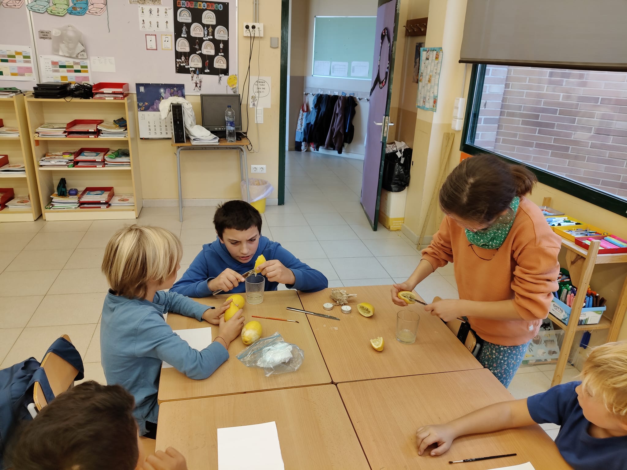 WhatsApp Image 2025-11-10 at 22.55.34 (1)