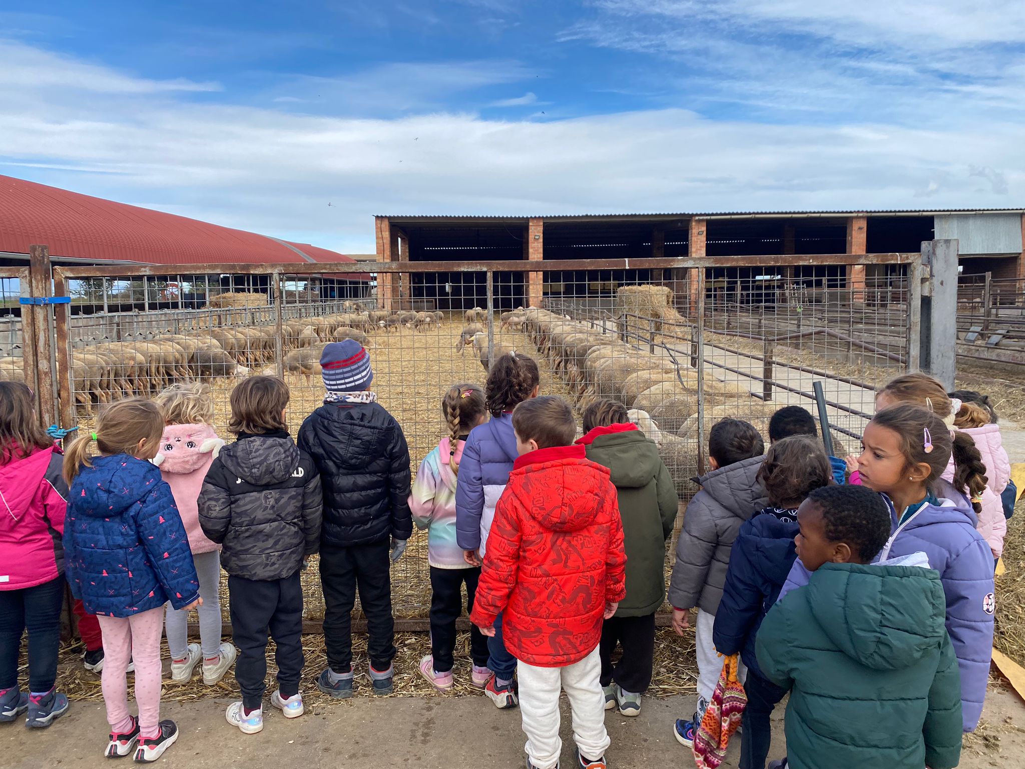 WhatsApp Image 2025-11-24 at 13.59.03 (3)