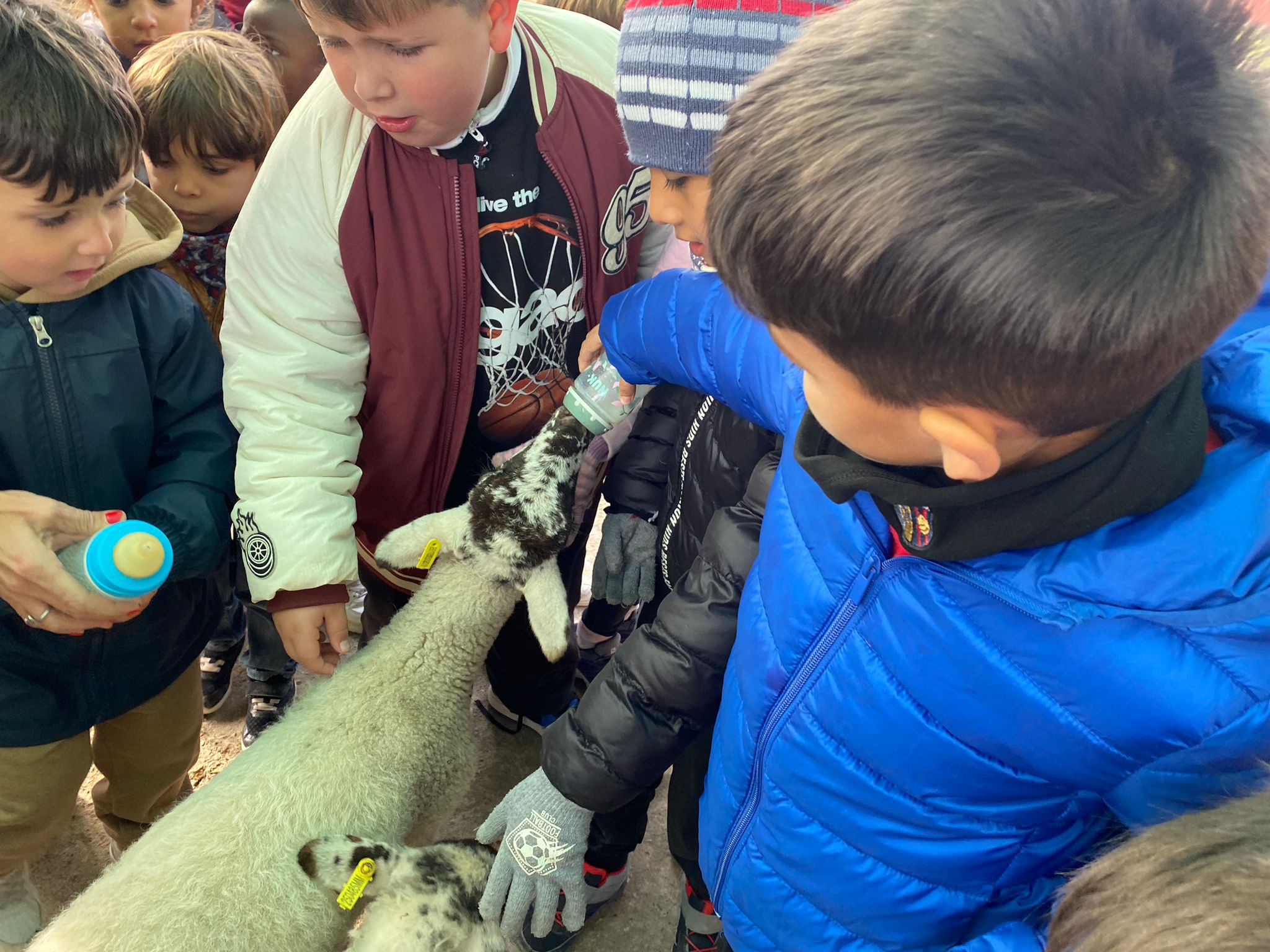 WhatsApp Image 2025-11-24 at 13.59.03 (6)