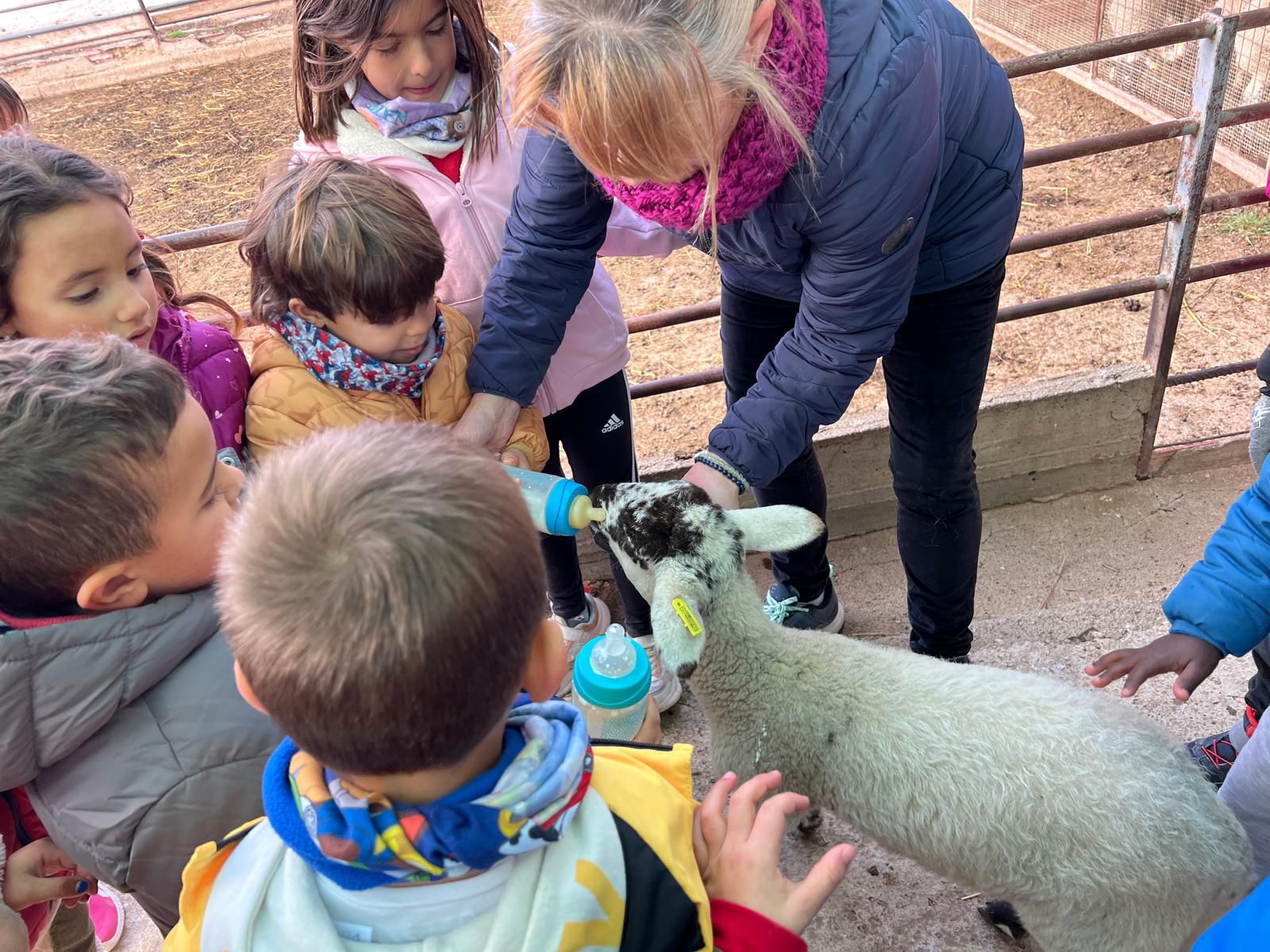 WhatsApp Image 2025-11-24 at 13.59.12