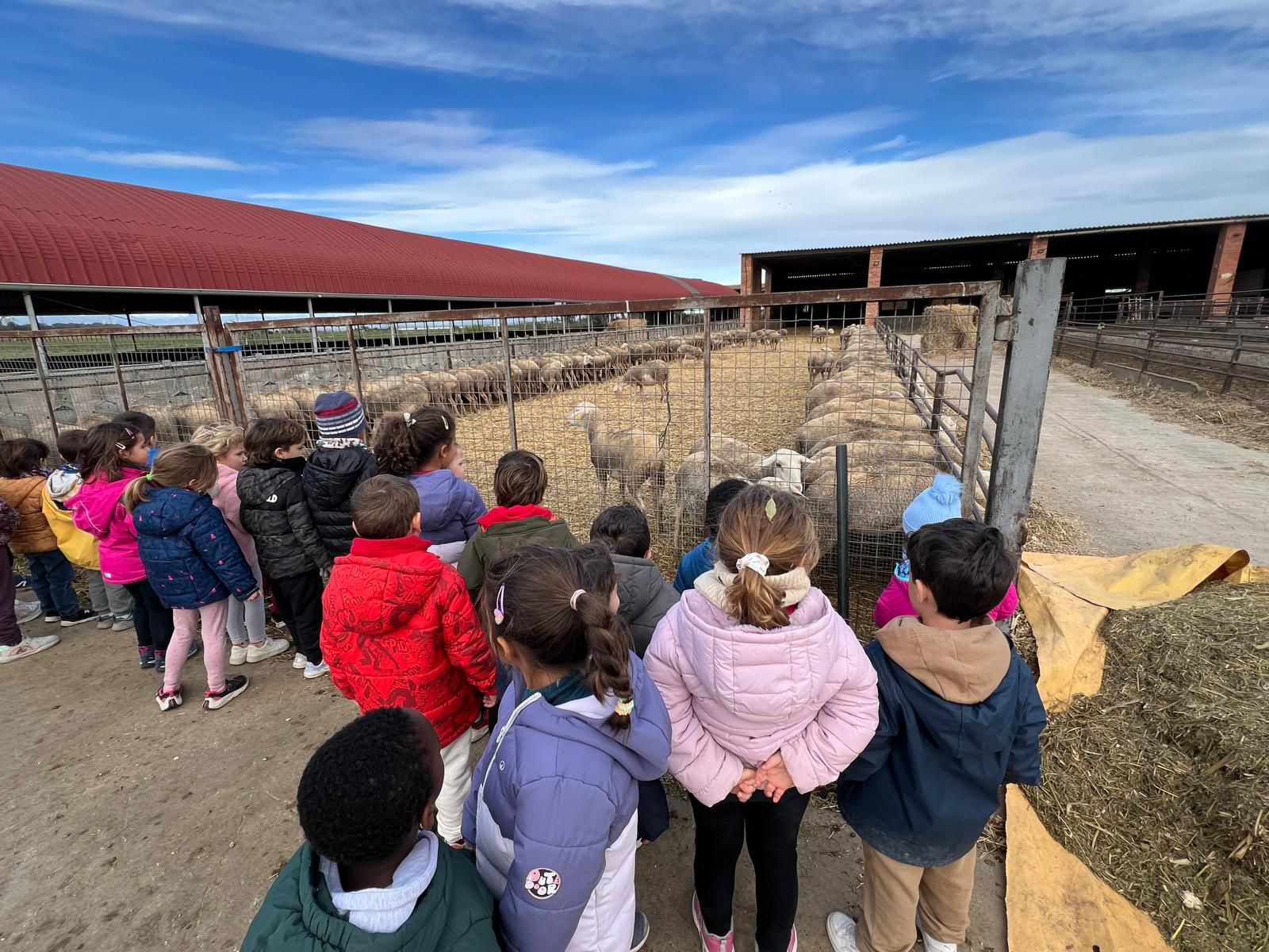 WhatsApp Image 2025-11-24 at 13.59.13 (1)