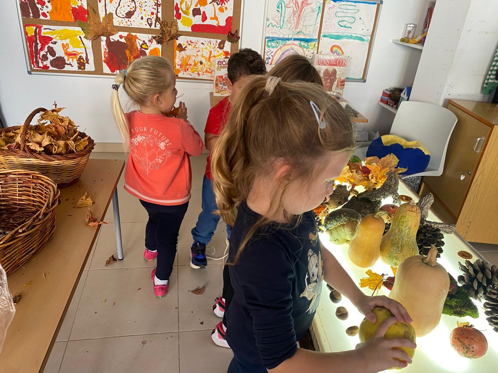 WhatsApp Image 2025-12-09 at 19.01.27