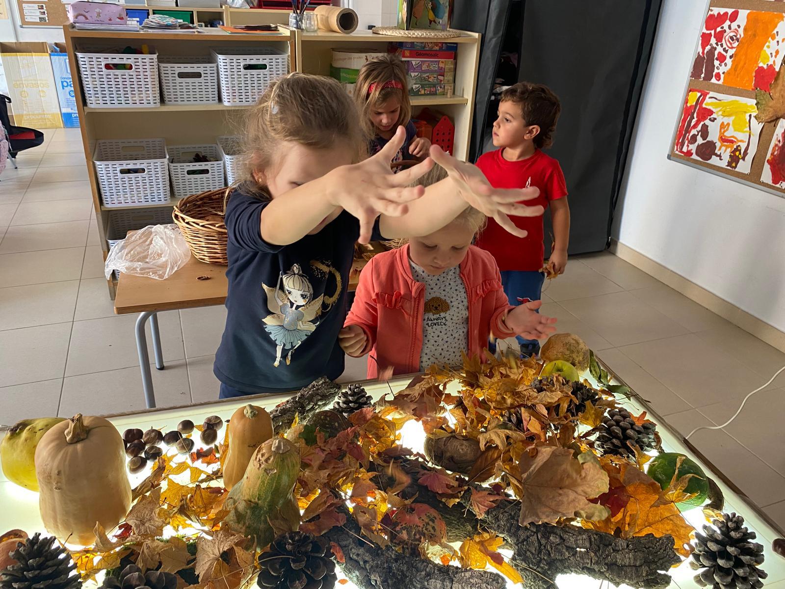 WhatsApp Image 2025-12-09 at 19.01.28 (1)