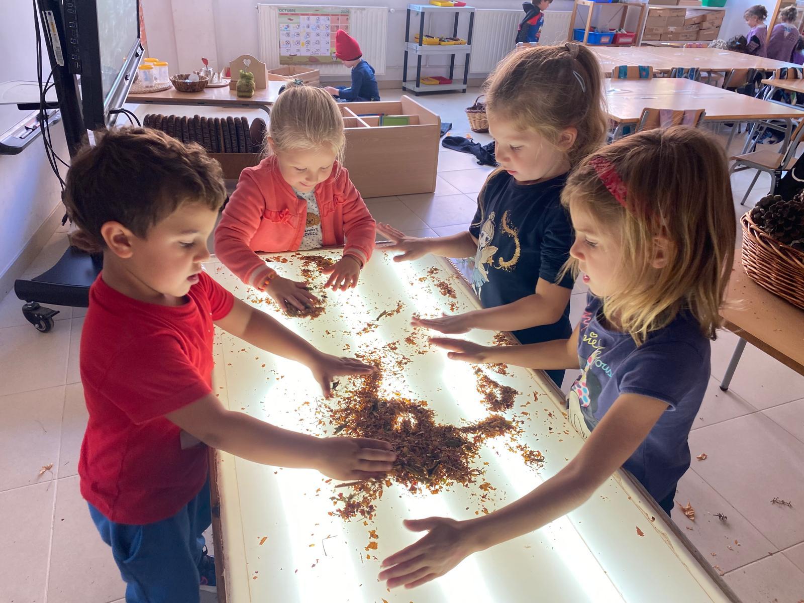 WhatsApp Image 2025-12-09 at 19.01.28 (3)