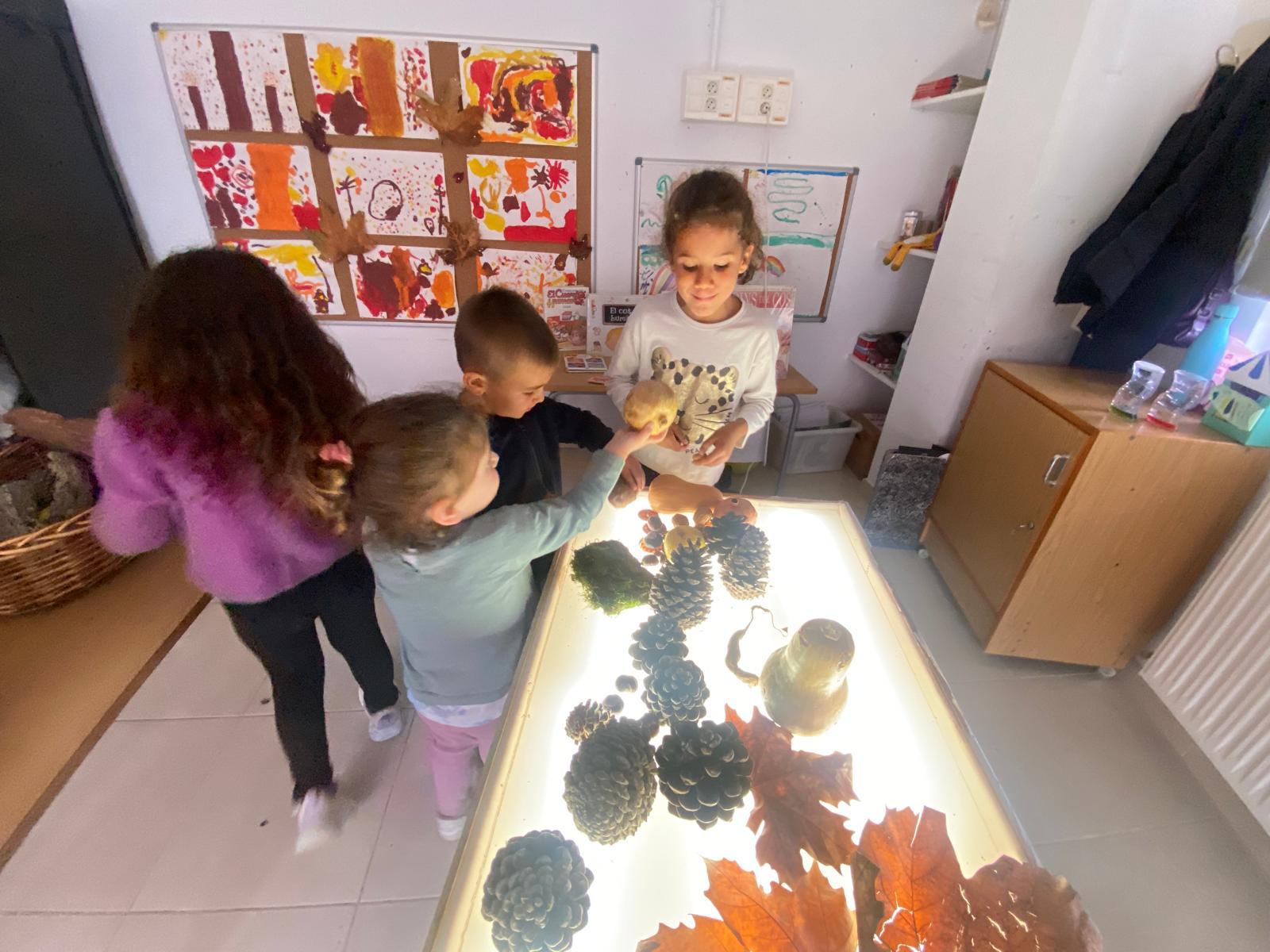 WhatsApp Image 2025-12-09 at 19.01.28 (4)