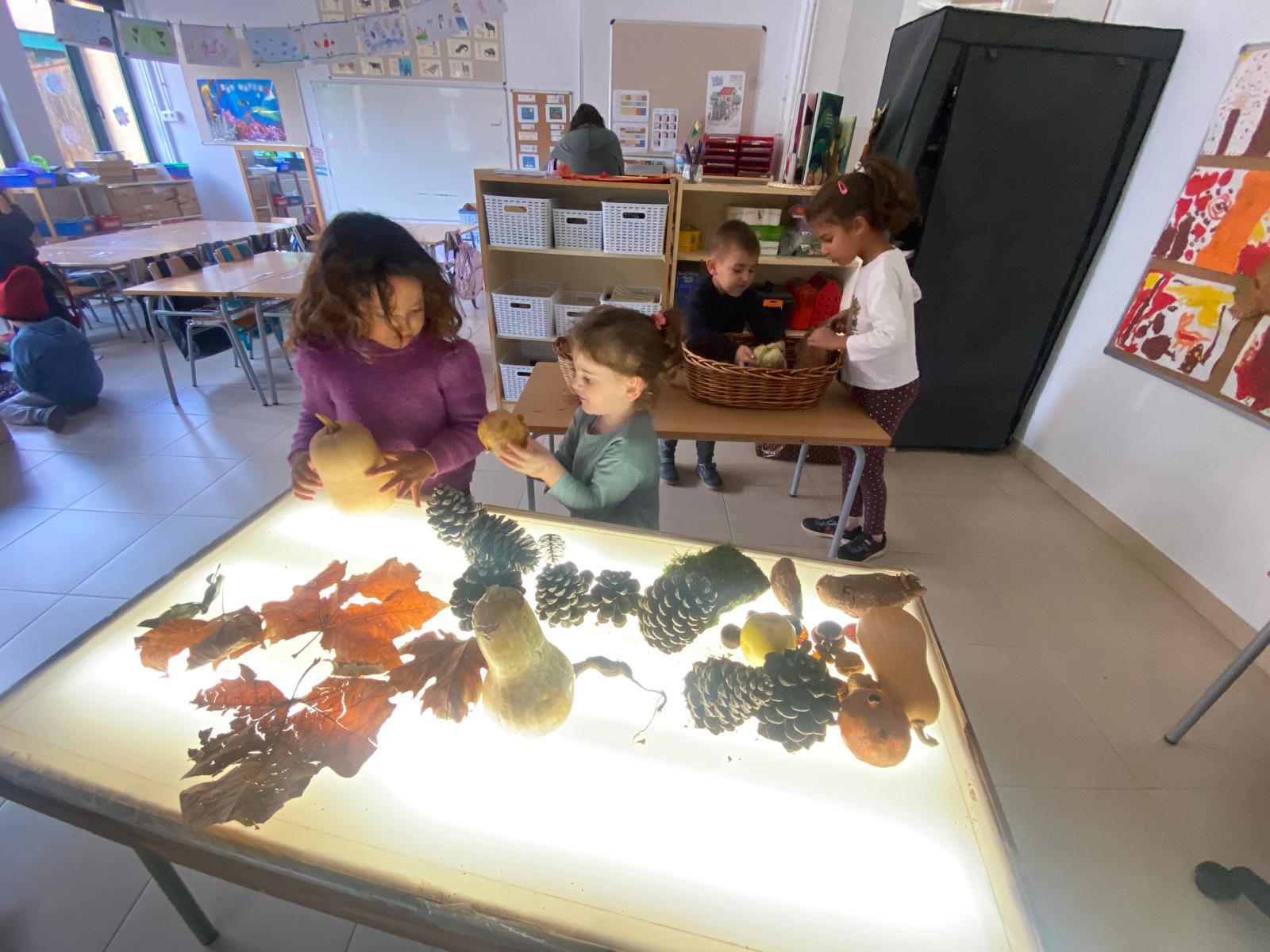 WhatsApp Image 2025-12-09 at 19.01.28 (5)