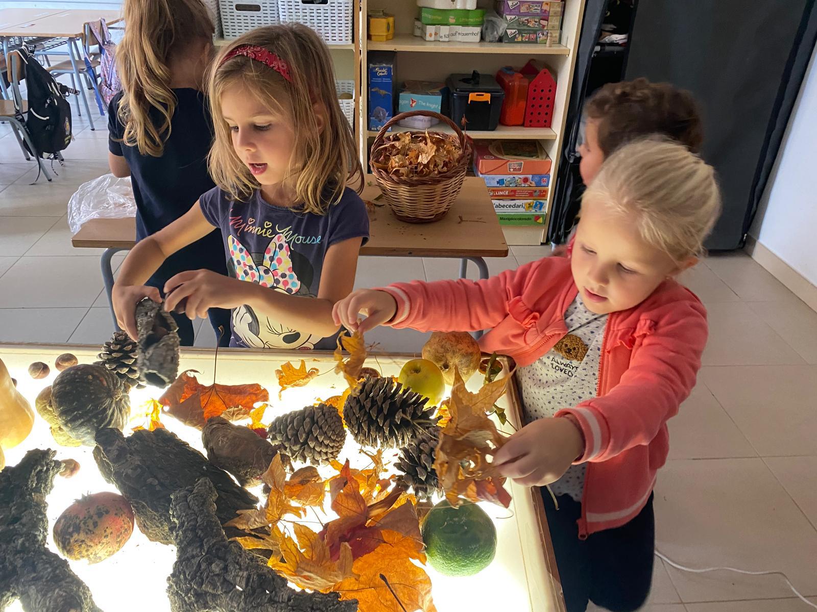 WhatsApp Image 2025-12-09 at 19.01.28