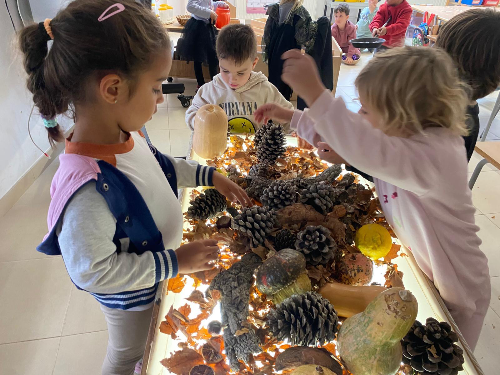 WhatsApp Image 2025-12-09 at 19.01.42