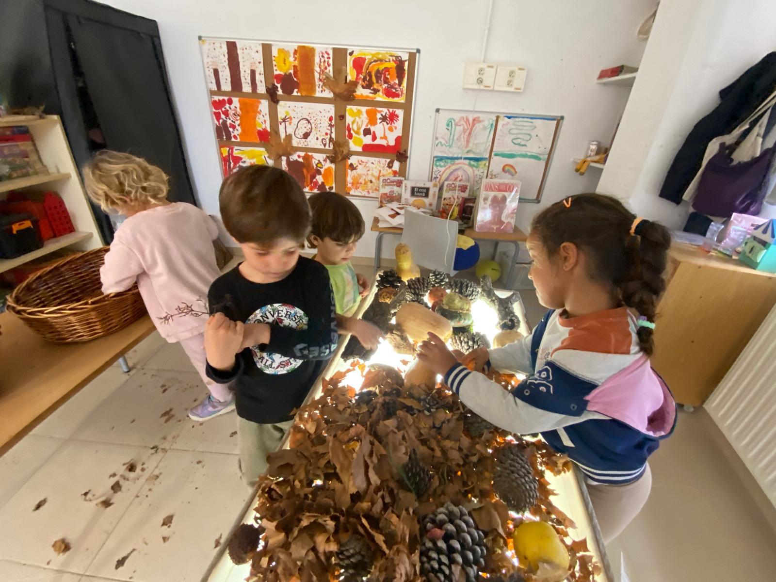 WhatsApp Image 2025-12-09 at 19.01.55