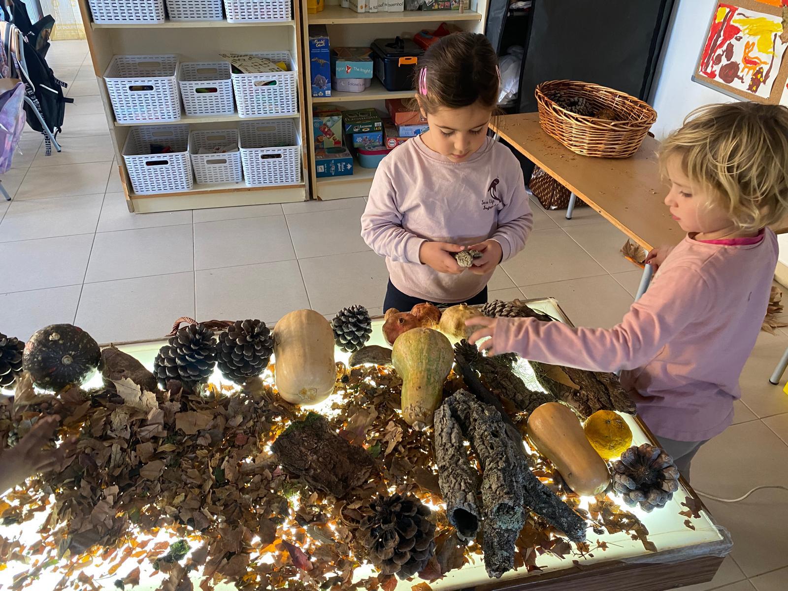 WhatsApp Image 2025-12-09 at 19.02.16 (1)