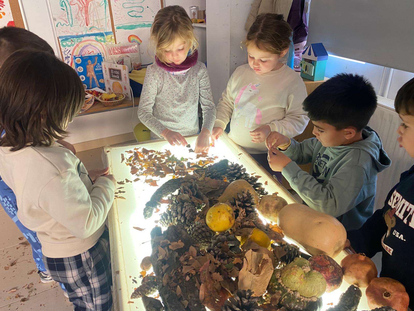 WhatsApp Image 2025-12-09 at 19.02.16