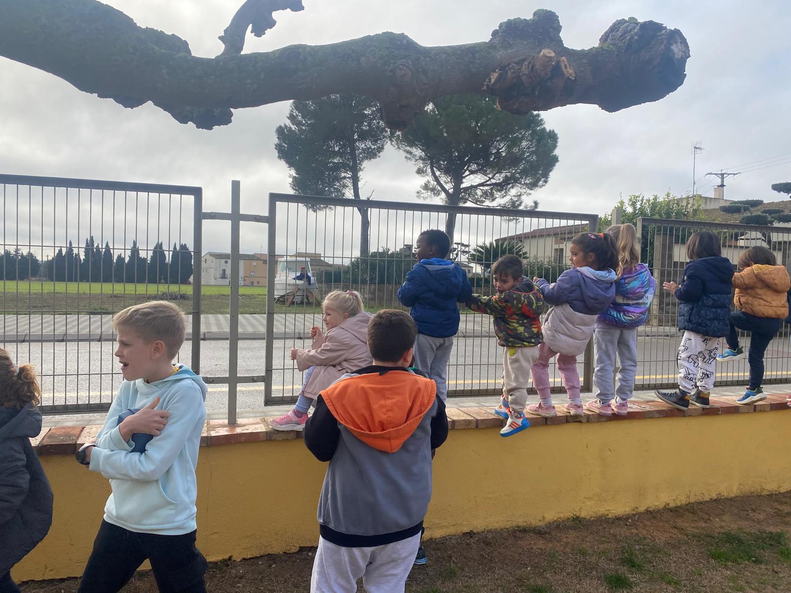 WhatsApp Image 2025-12-16 at 11.50.43 (1)