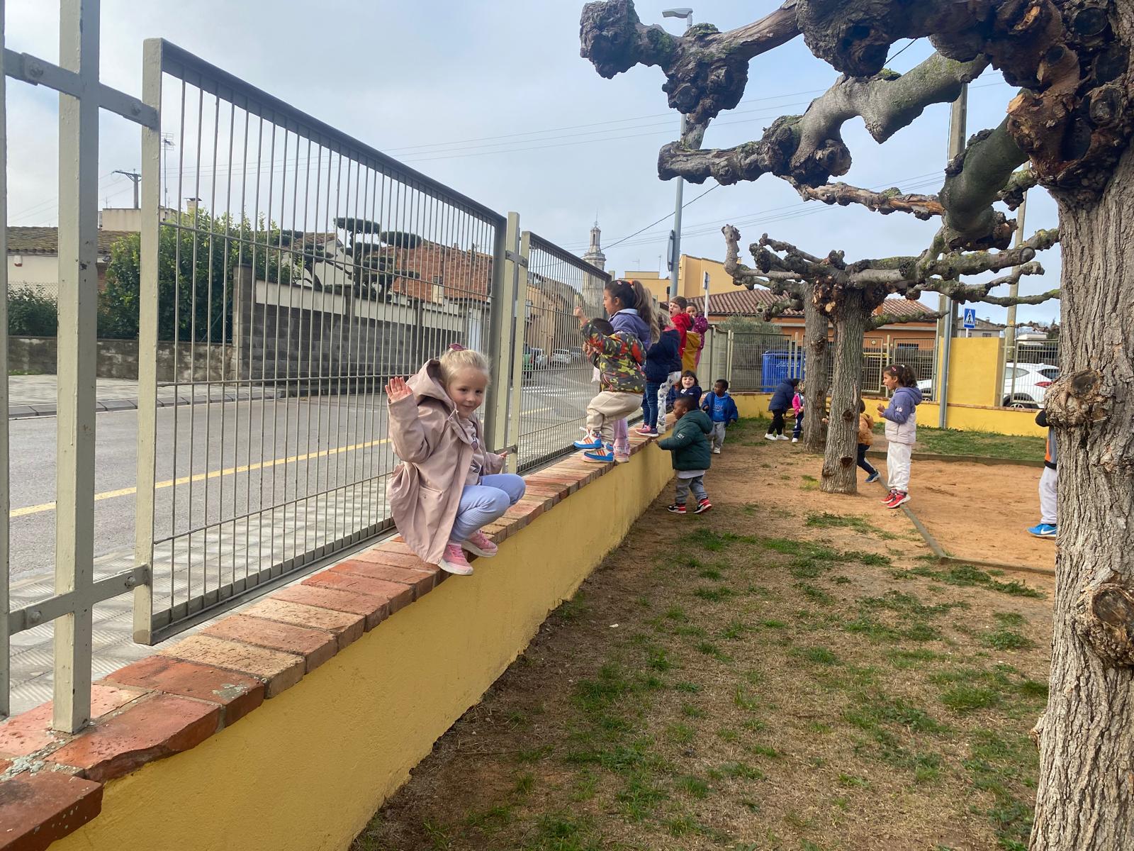 WhatsApp Image 2025-12-16 at 11.50.44 (1)