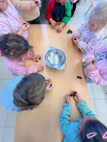 WhatsApp Image 2025-12-17 at 18.04.40 (Pequeña)