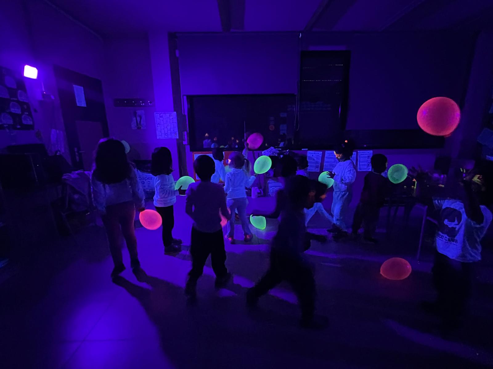 WhatsApp Image 2026-02-12 at 11.36.56 (12)