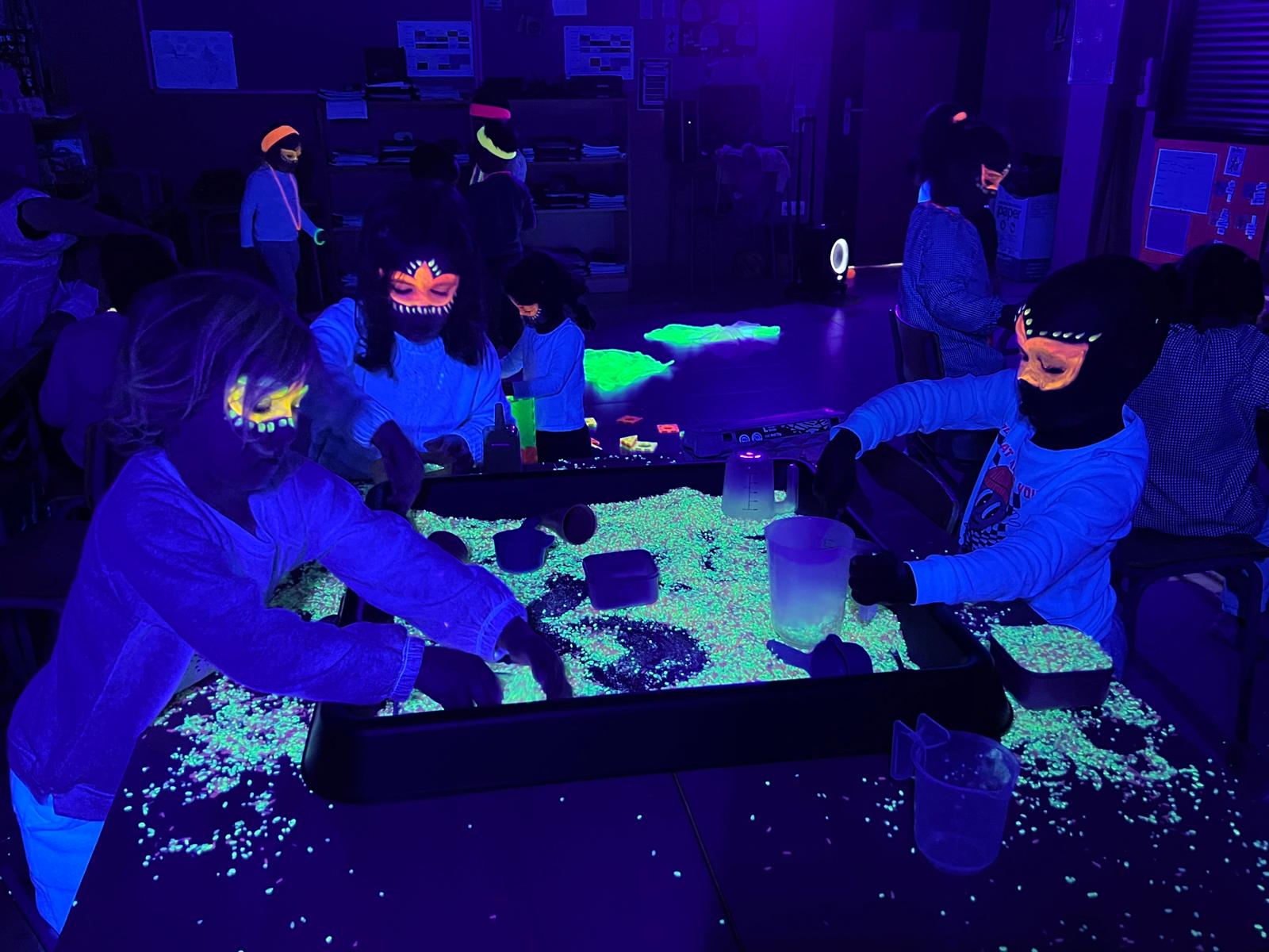 WhatsApp Image 2026-02-12 at 11.36.56 (3)