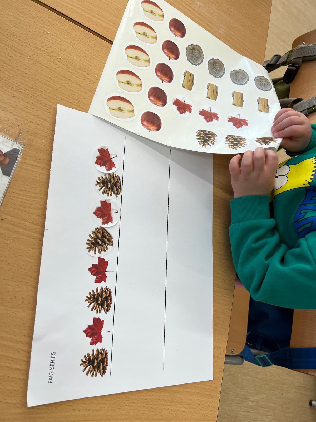 WhatsApp Image 2026-02-12 at 13.17.28 (1)