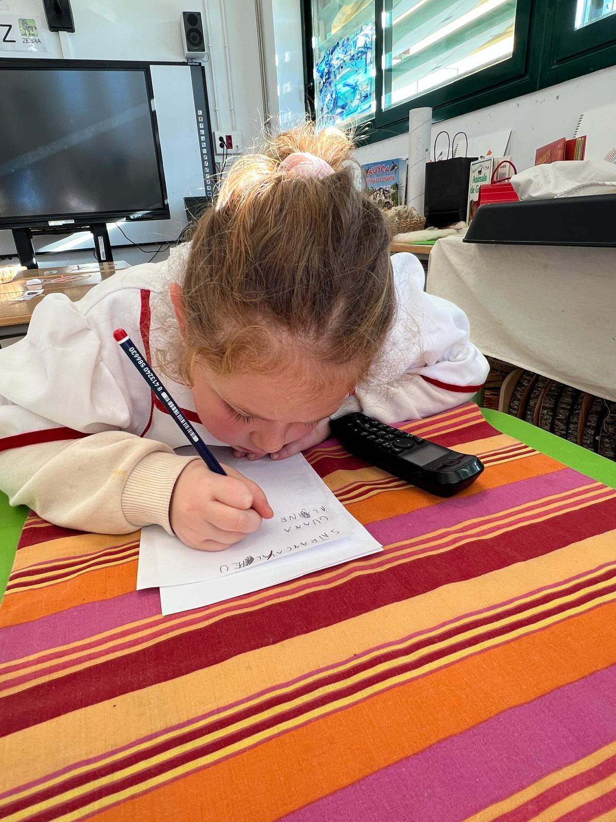 WhatsApp Image 2026-02-12 at 16.14.36 (1)