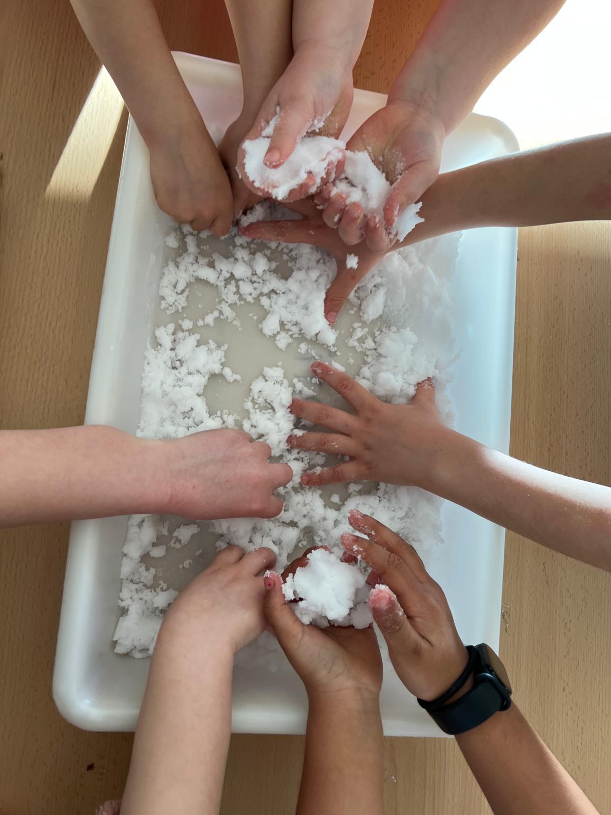 WhatsApp Image 2026-02-12 at 16.17.51