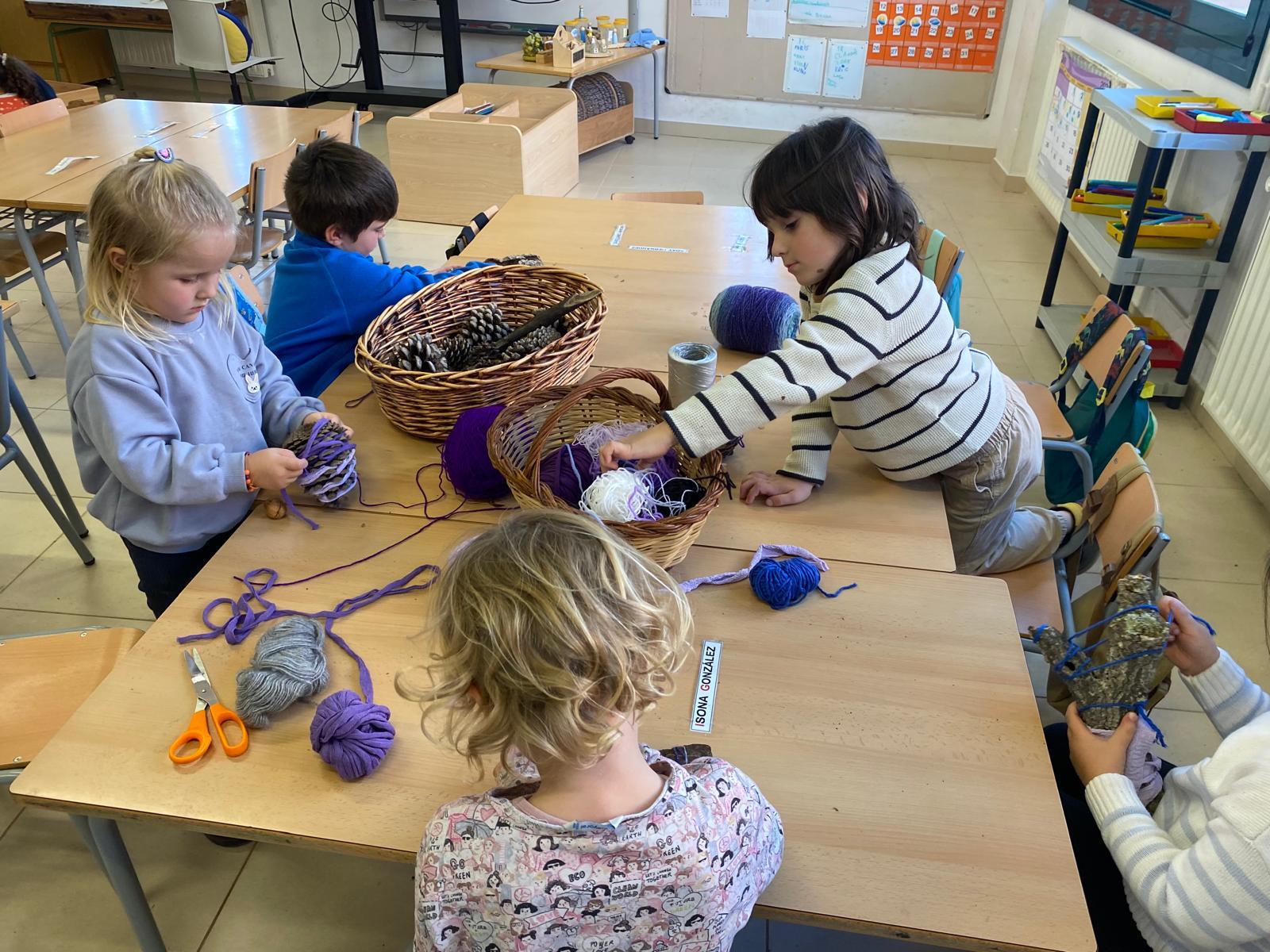 WhatsApp Image 2026-02-12 at 16.31.44