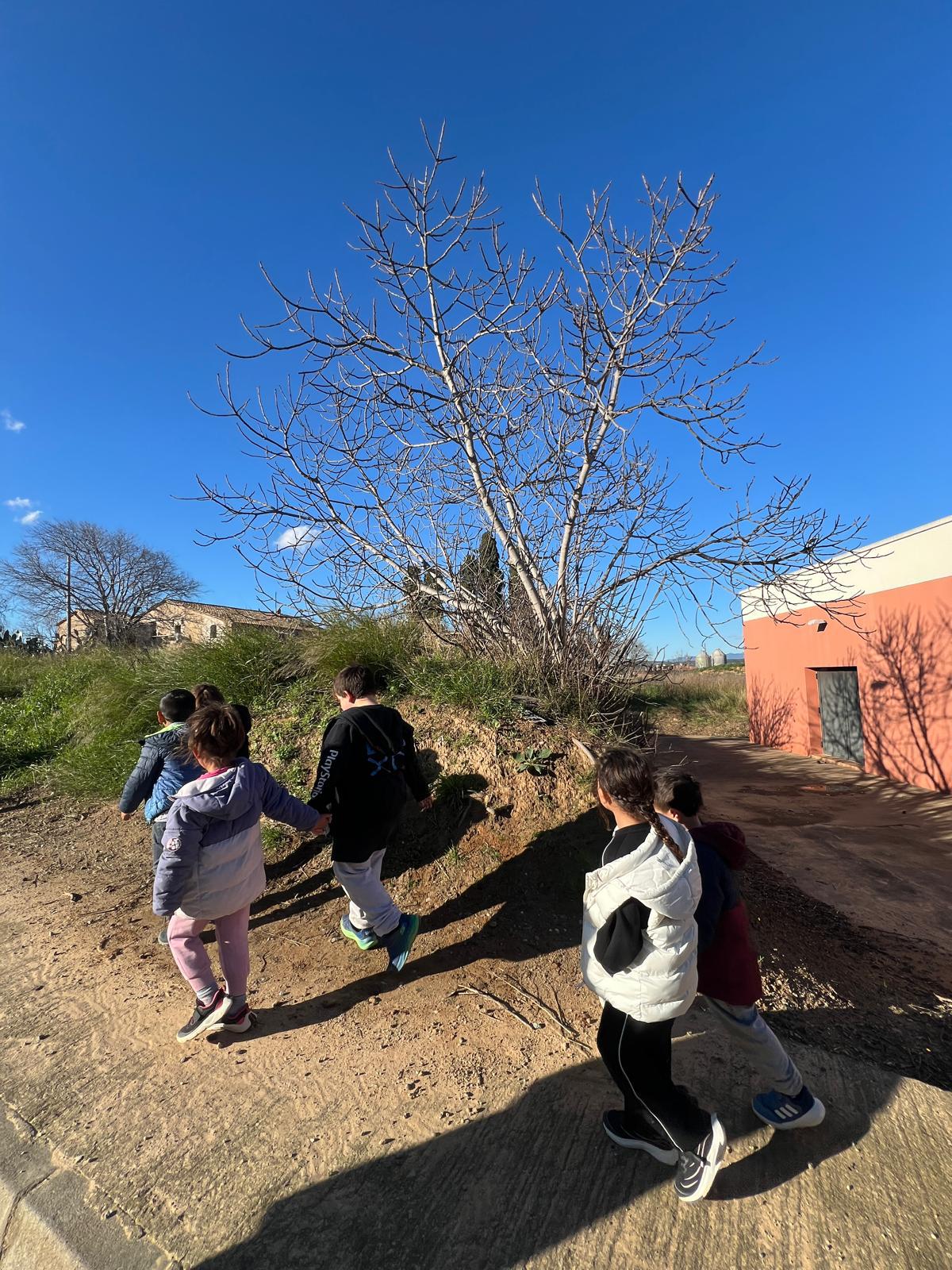 WhatsApp Image 2026-02-12 at 17.42.47 (3)