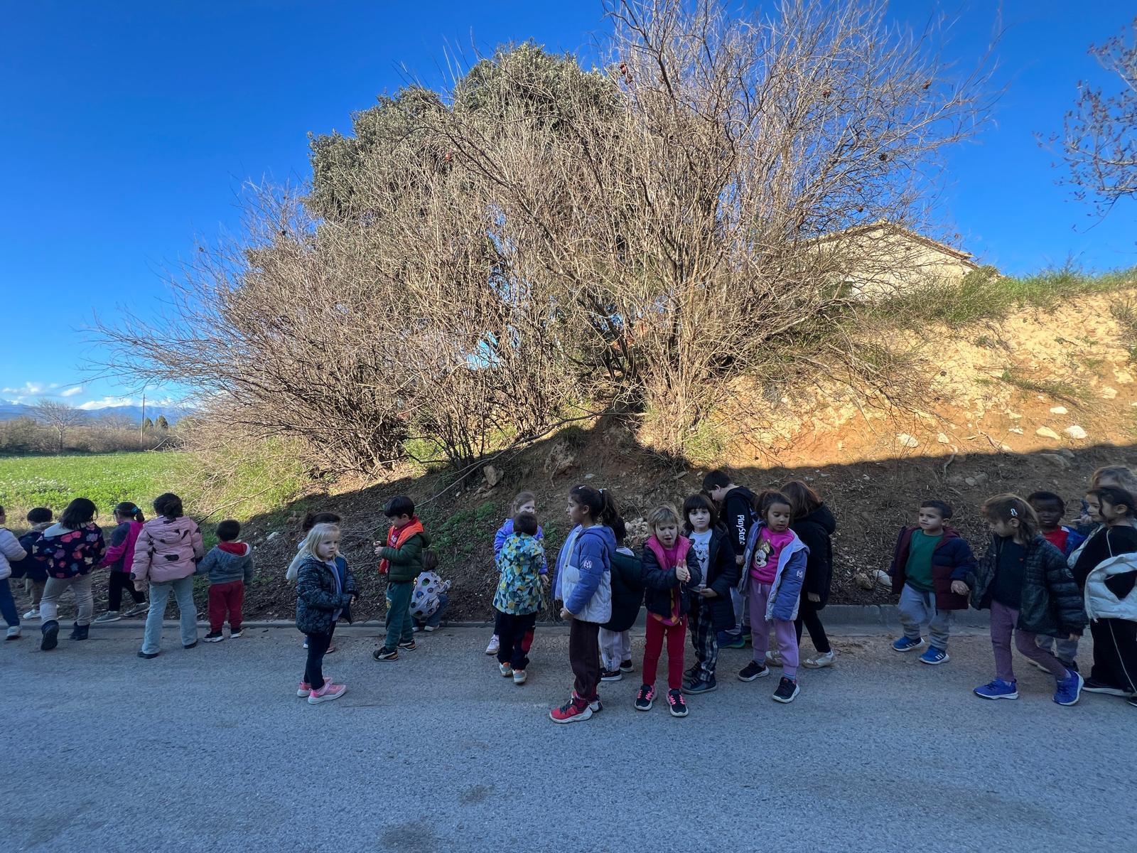 WhatsApp Image 2026-02-12 at 17.42.47 (4)