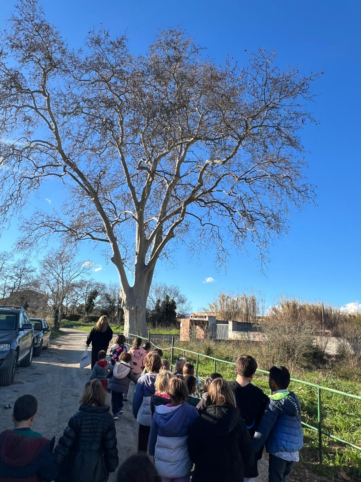 WhatsApp Image 2026-02-12 at 17.42.48 (4)