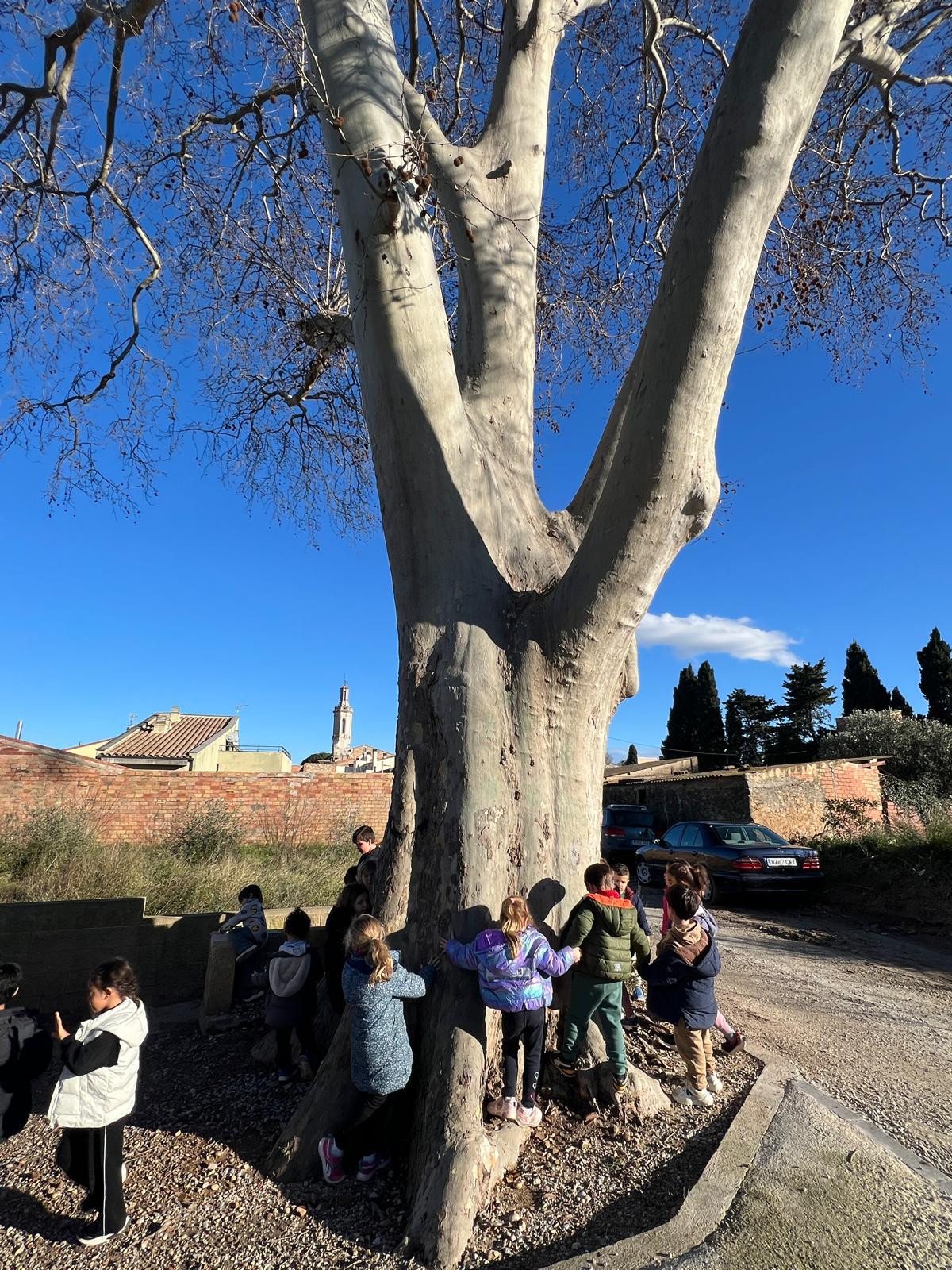 WhatsApp Image 2026-02-12 at 17.42.48 (5)