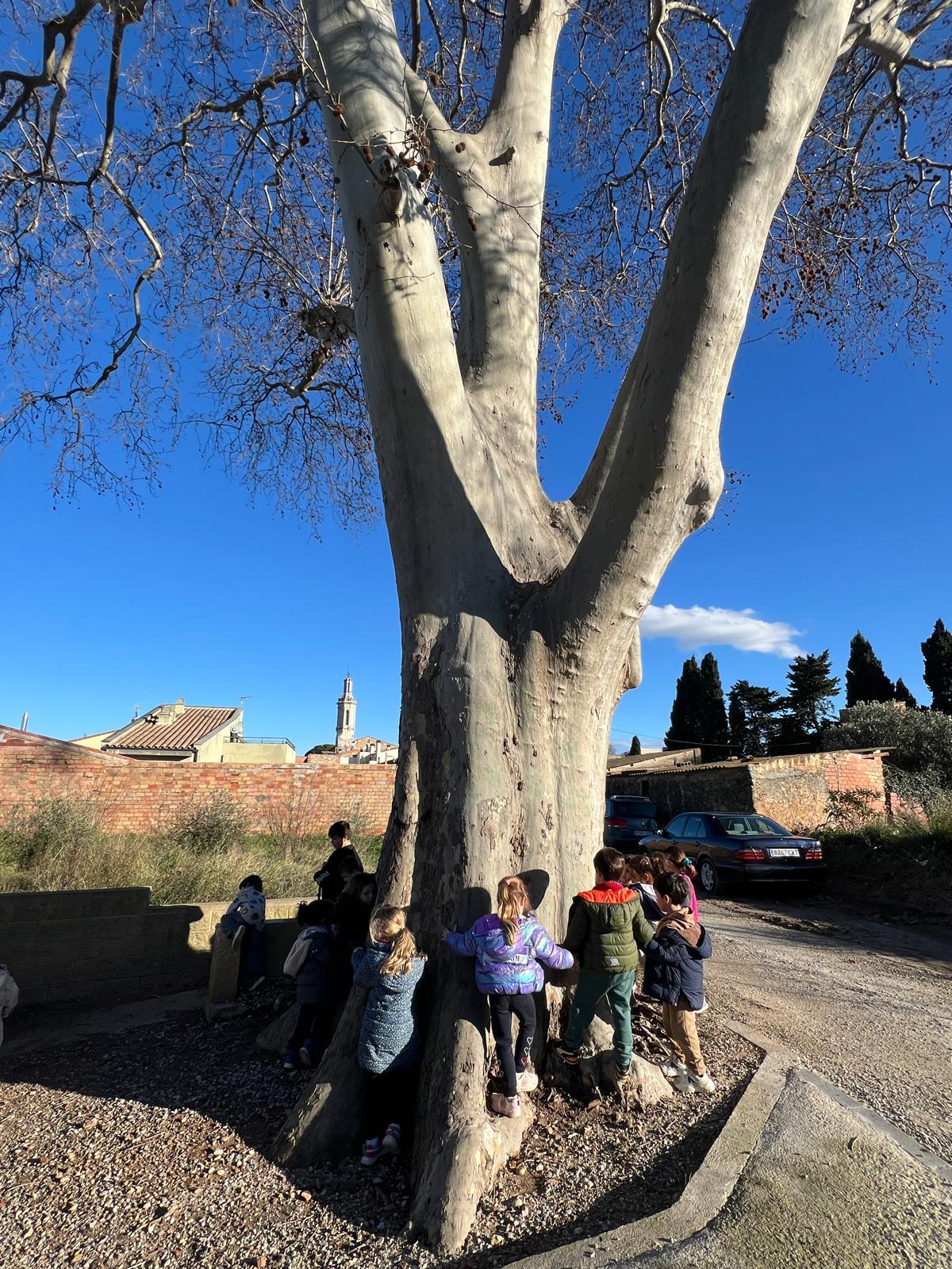 WhatsApp Image 2026-02-12 at 17.42.48 (6)