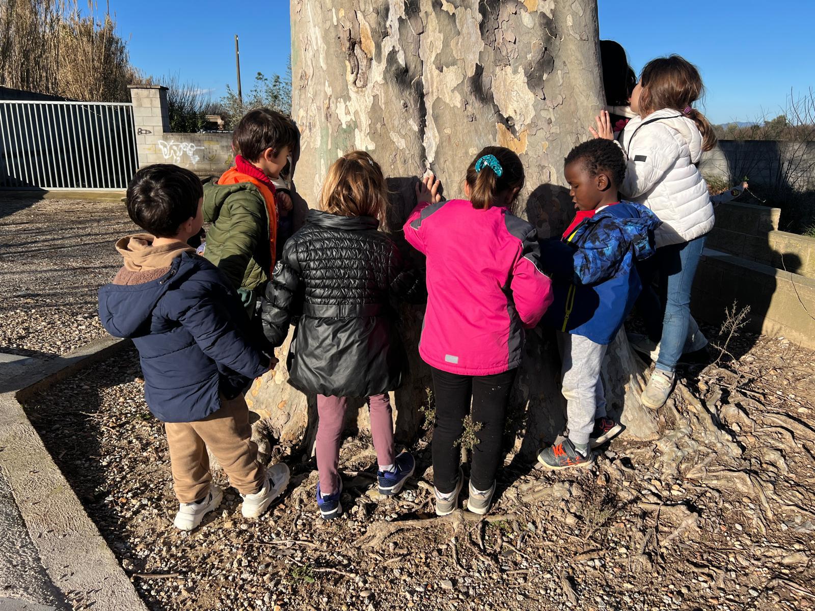 WhatsApp Image 2026-02-12 at 17.42.48 (7)