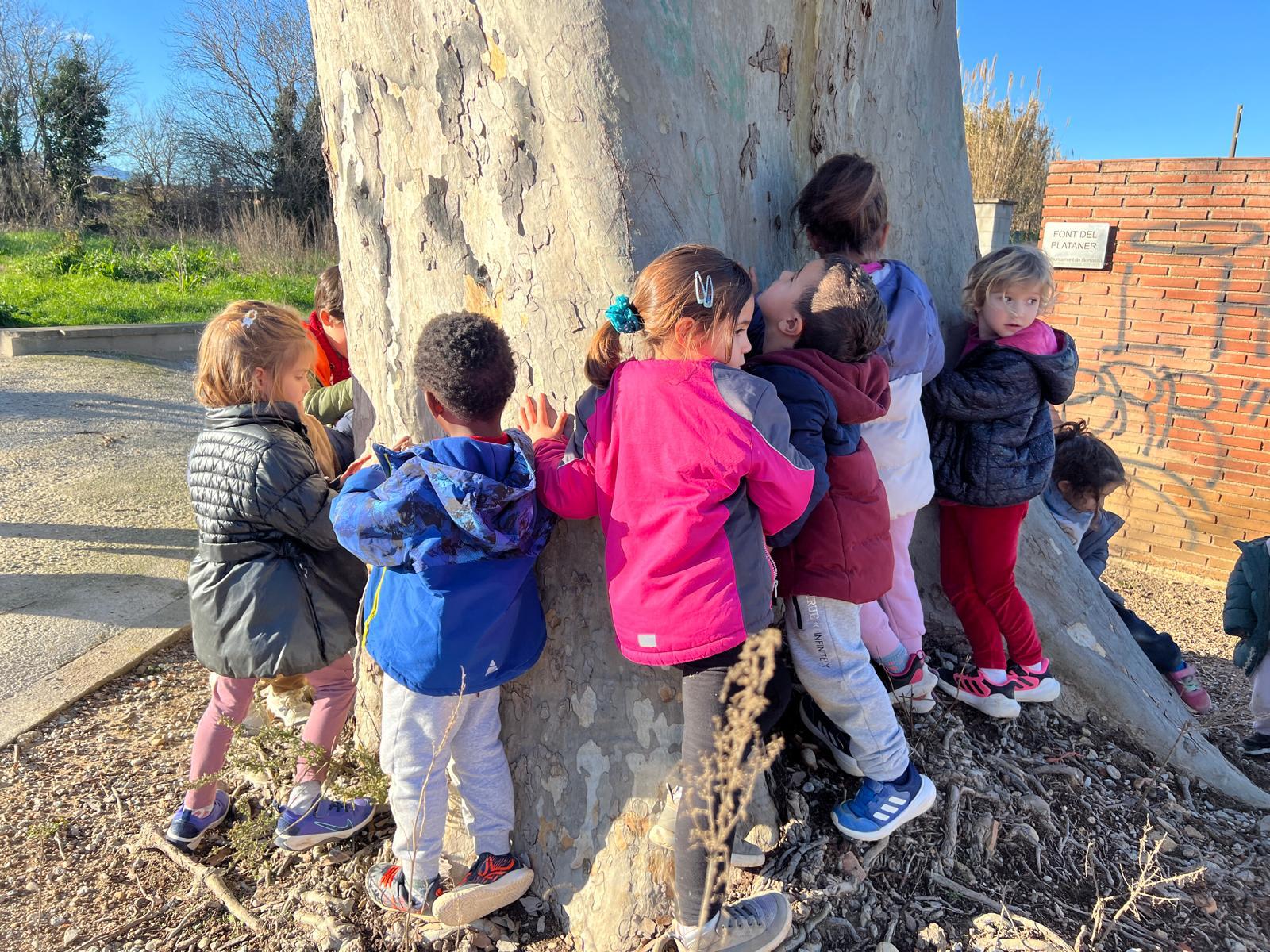 WhatsApp Image 2026-02-12 at 17.42.48 (8)