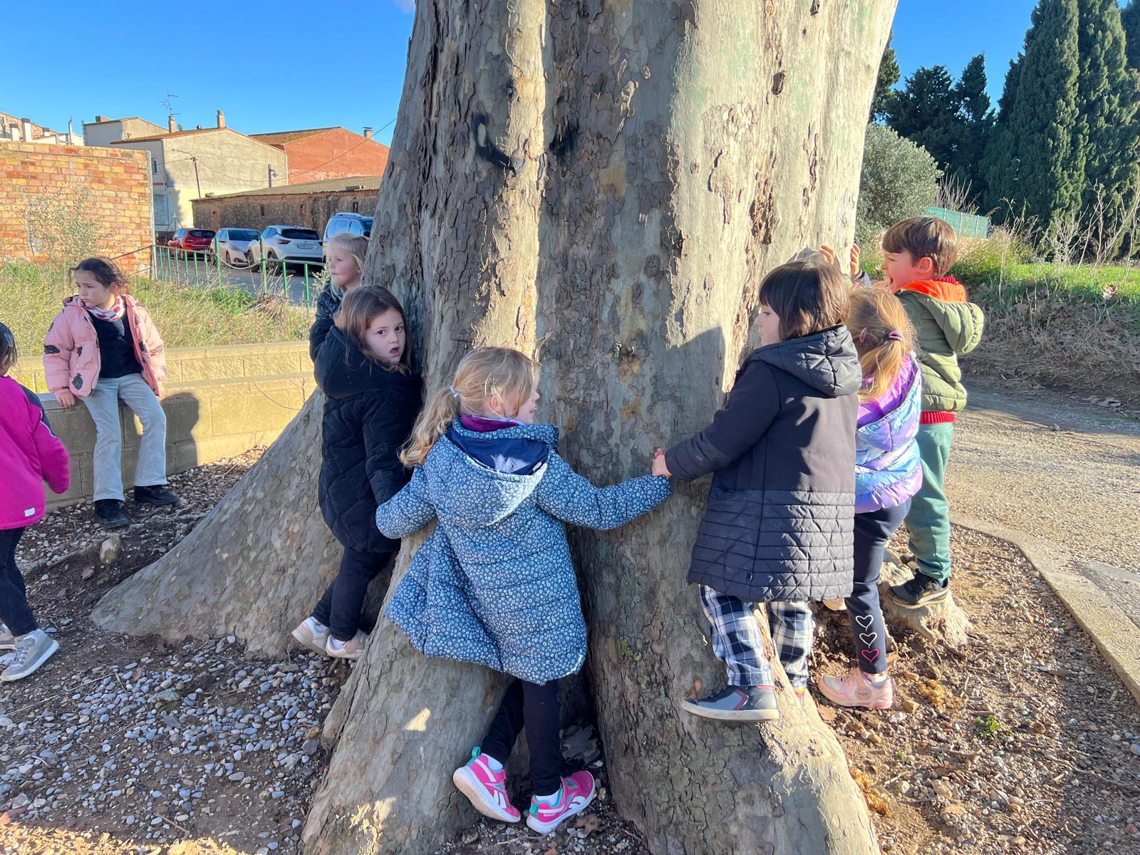 WhatsApp Image 2026-02-12 at 17.42.48 (9)