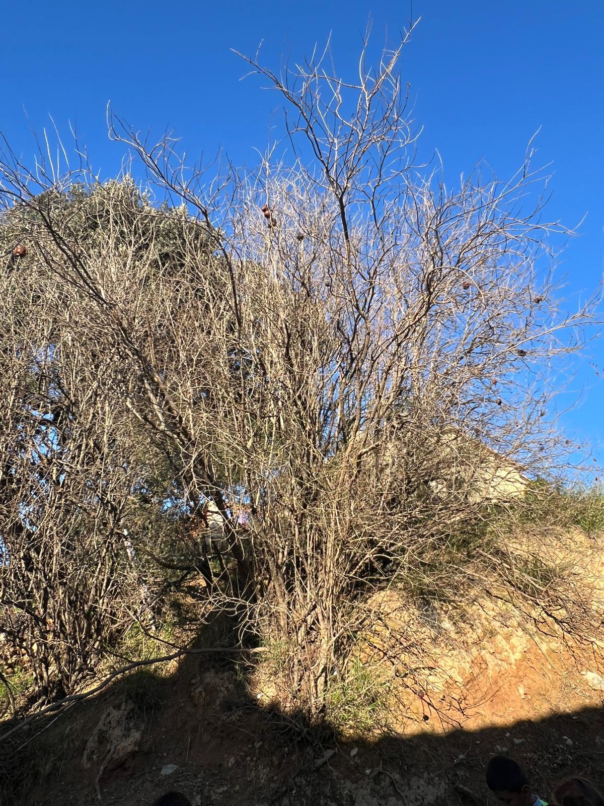 WhatsApp Image 2026-02-12 at 17.42.48